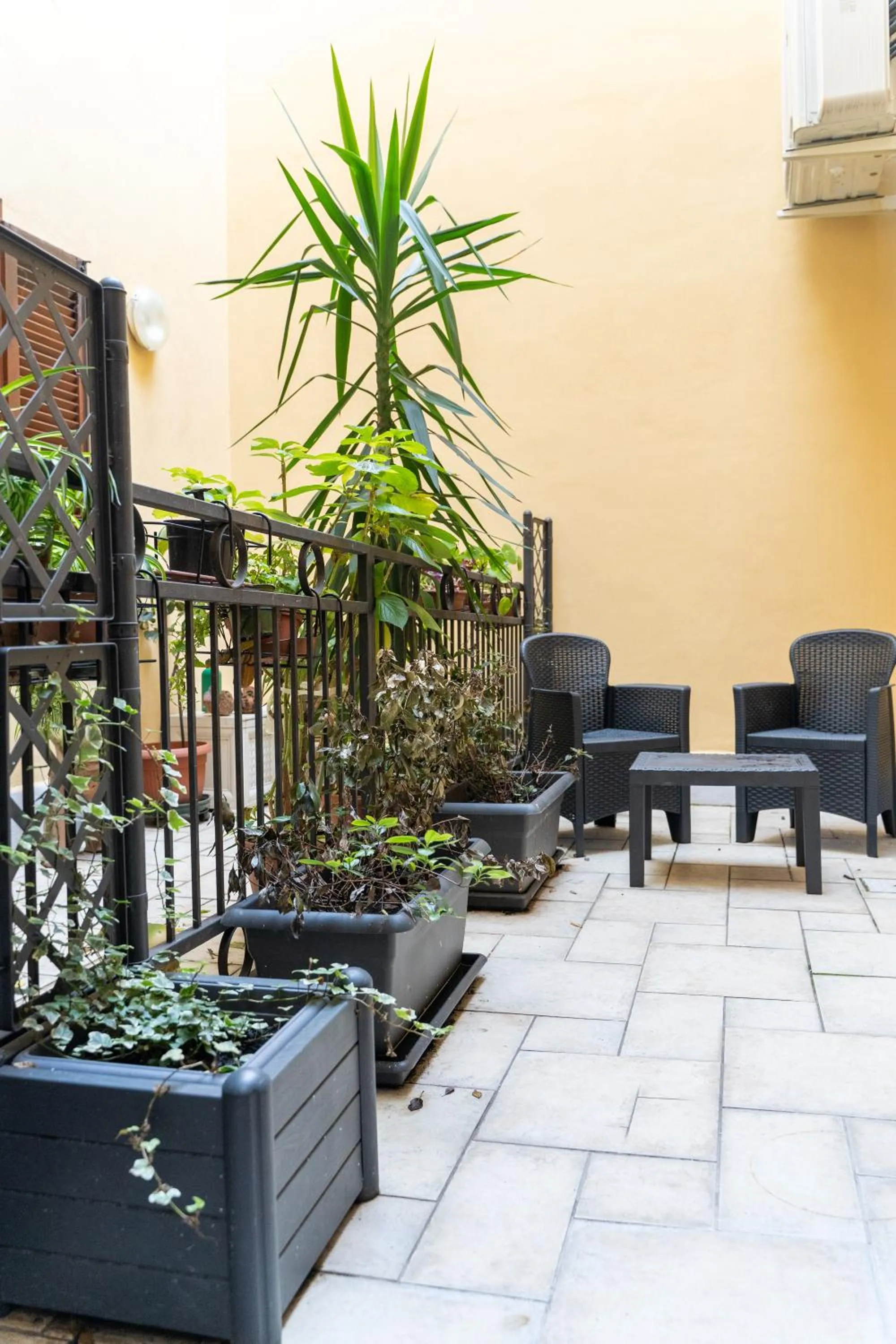 Balcony/Terrace in Mama House