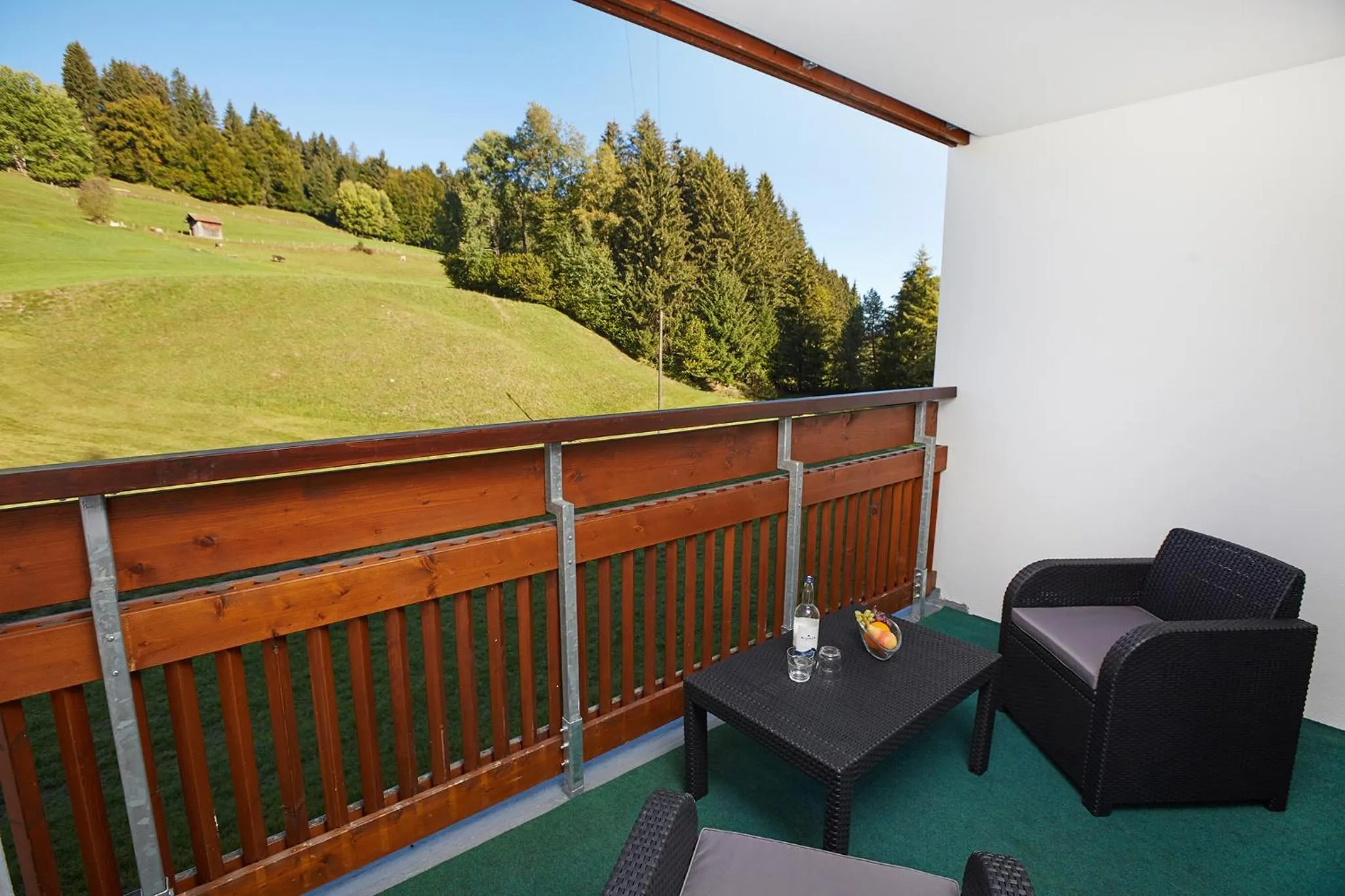 View (from property/room) in Wohlfühlhotel Frohsinn