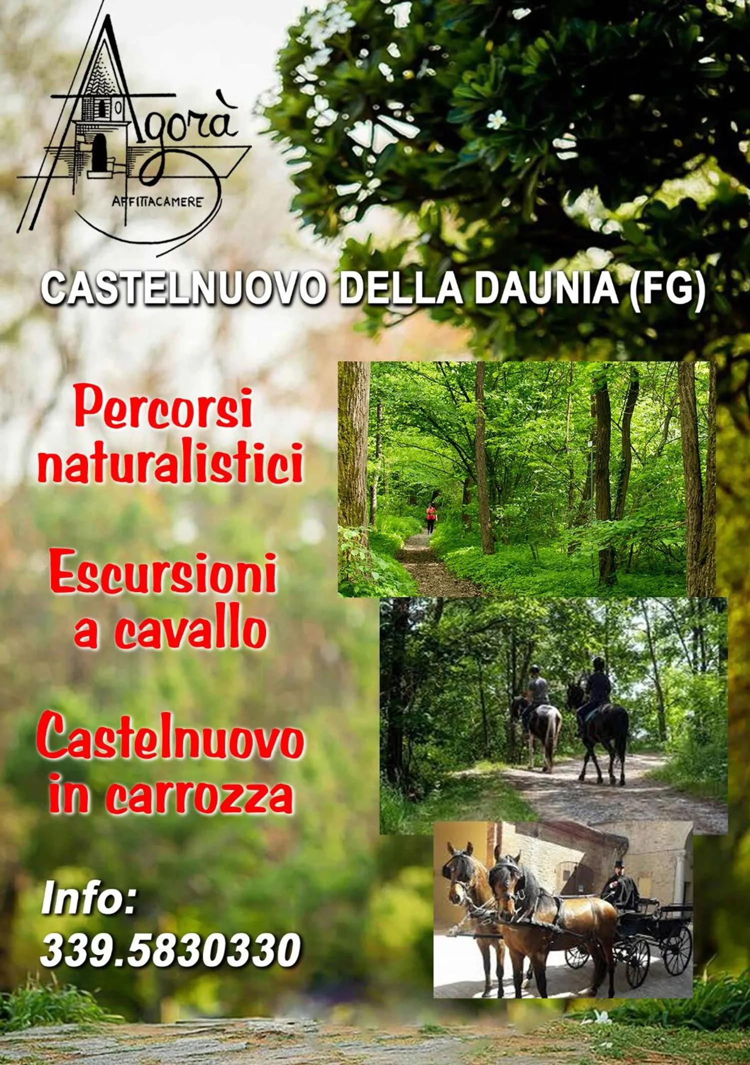 Summer in AGORA' Castelnuovo della Daunia