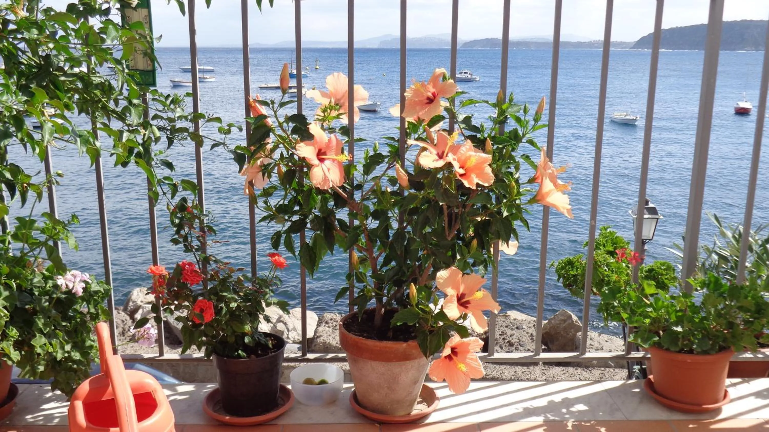 Balcony/Terrace in B&B I Cinque Sensi