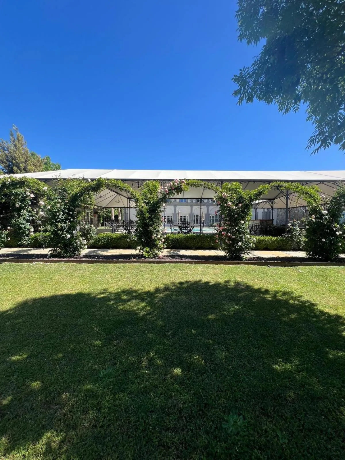 Garden in Relais La Corte dei Papi