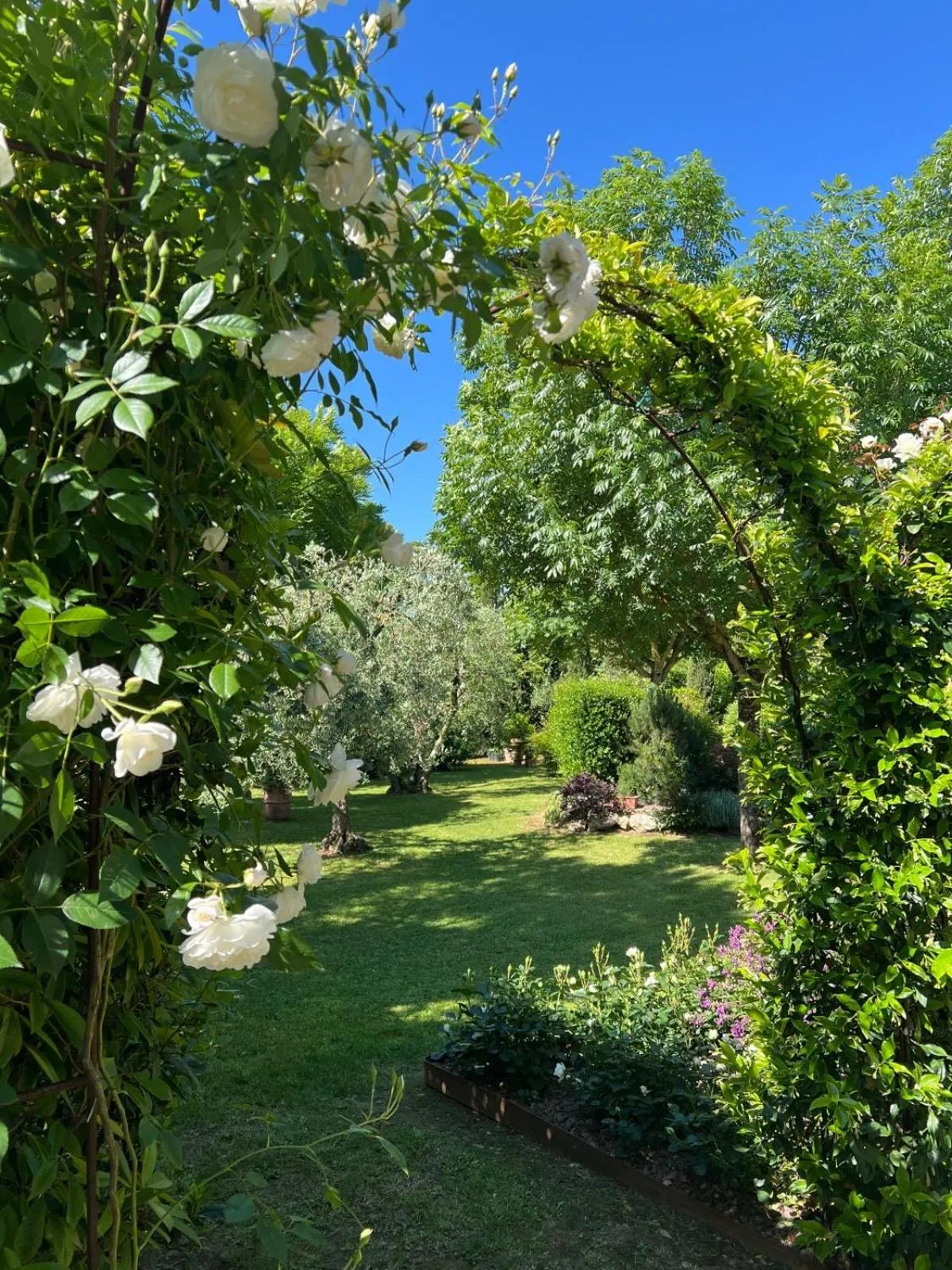 Garden in Relais La Corte dei Papi