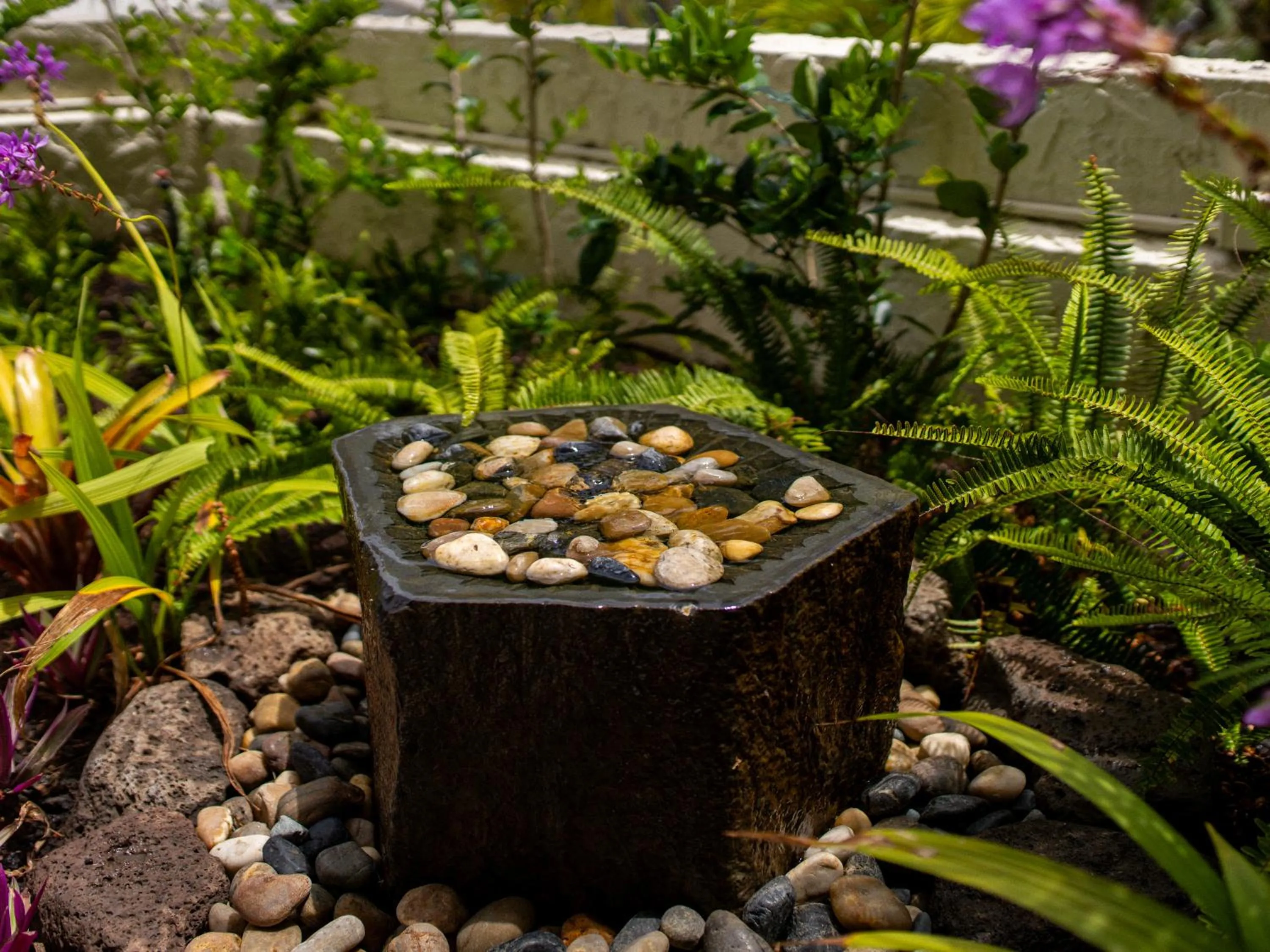 Garden in Luana Waikiki Hotel & Suites