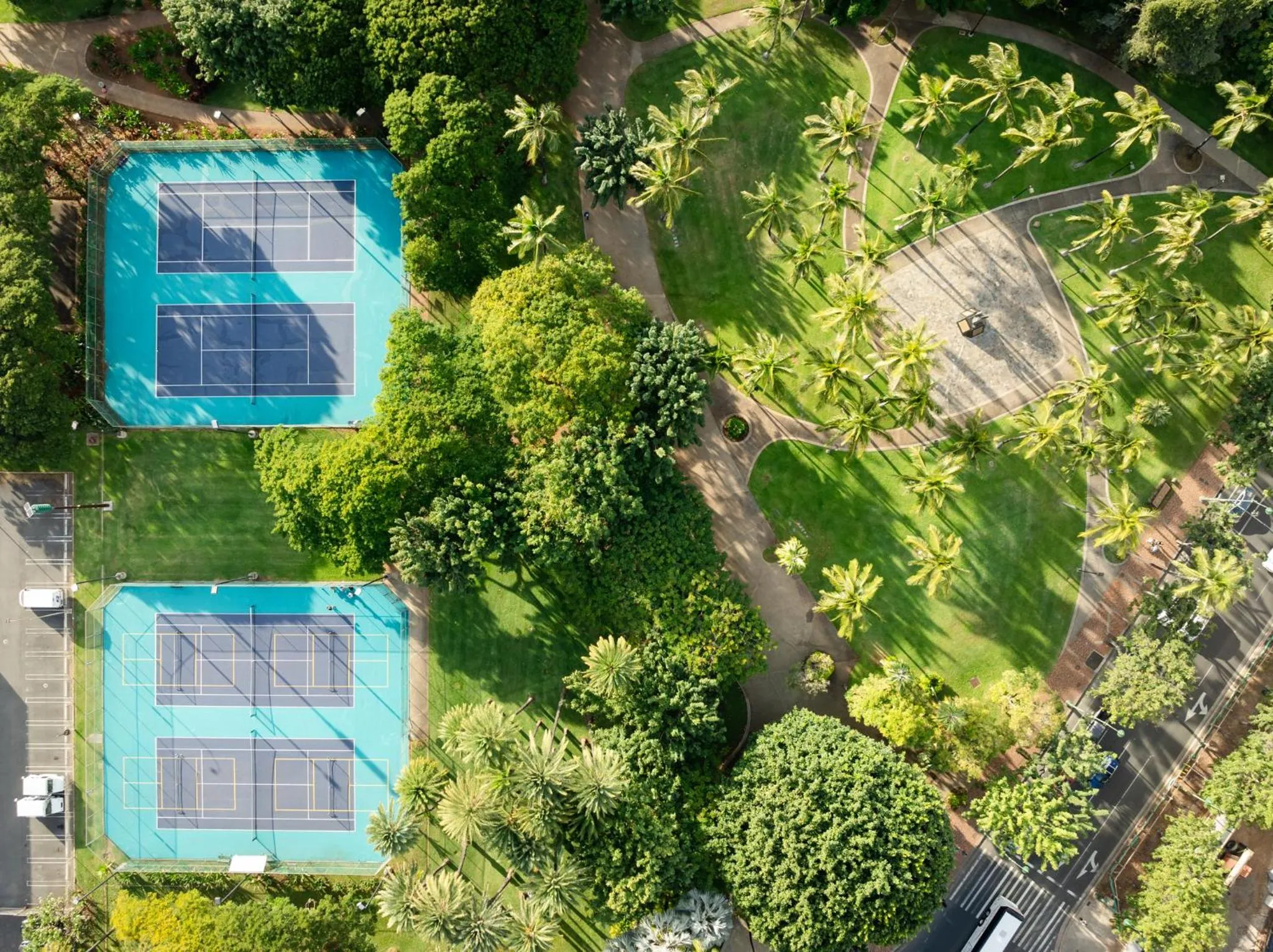 Natural landscape in Luana Waikiki Hotel & Suites