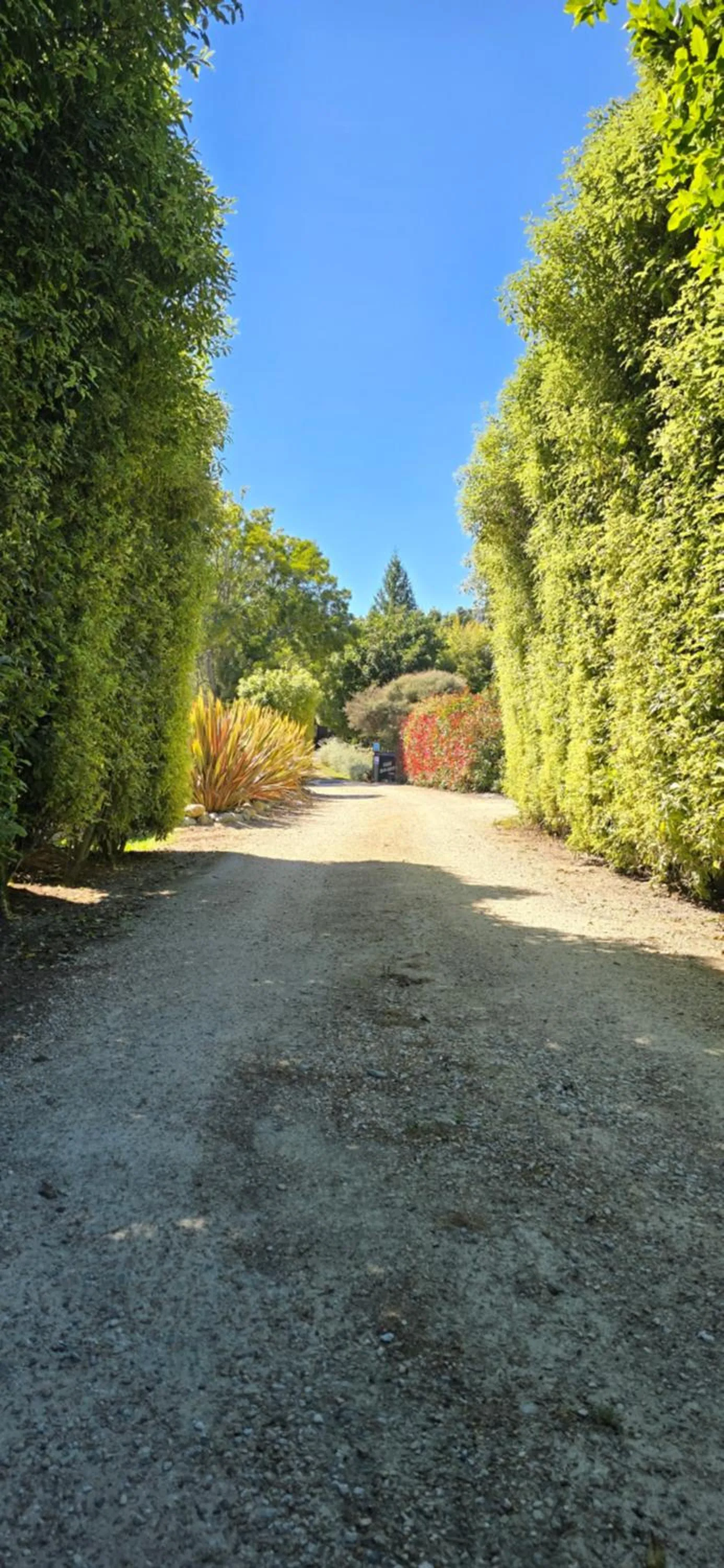Natural landscape in The Rocks Chalets