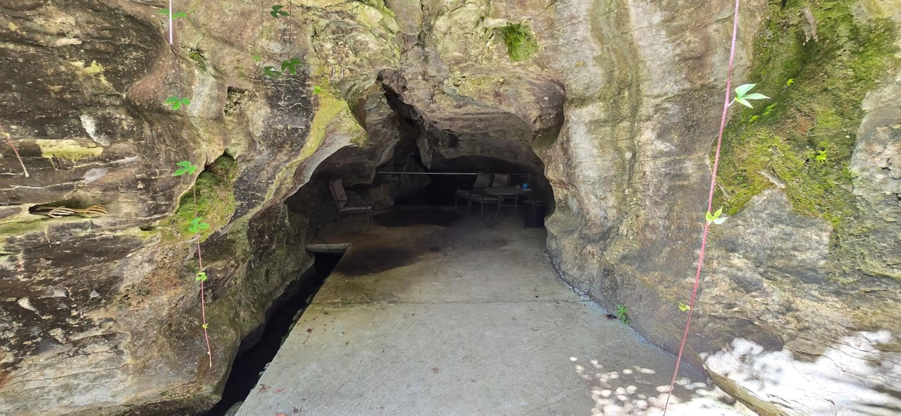 Natural landscape in The Rocks Chalets
