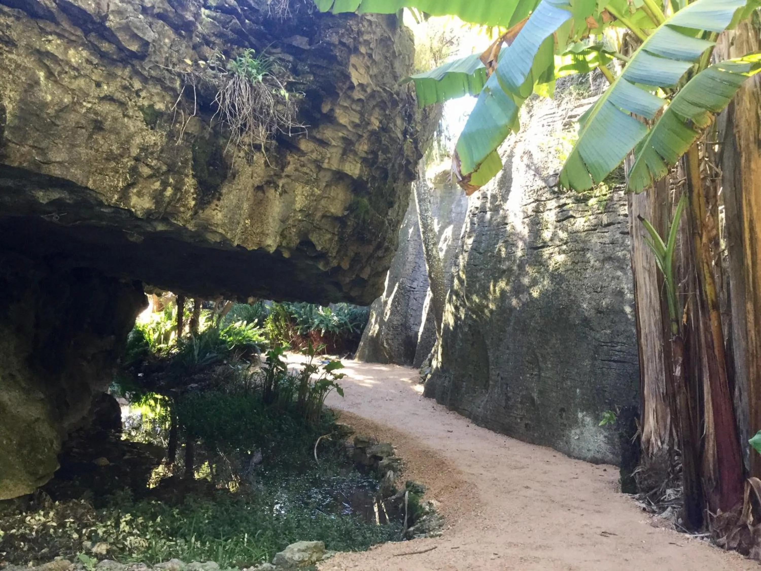 View (from property/room) in The Rocks Chalets