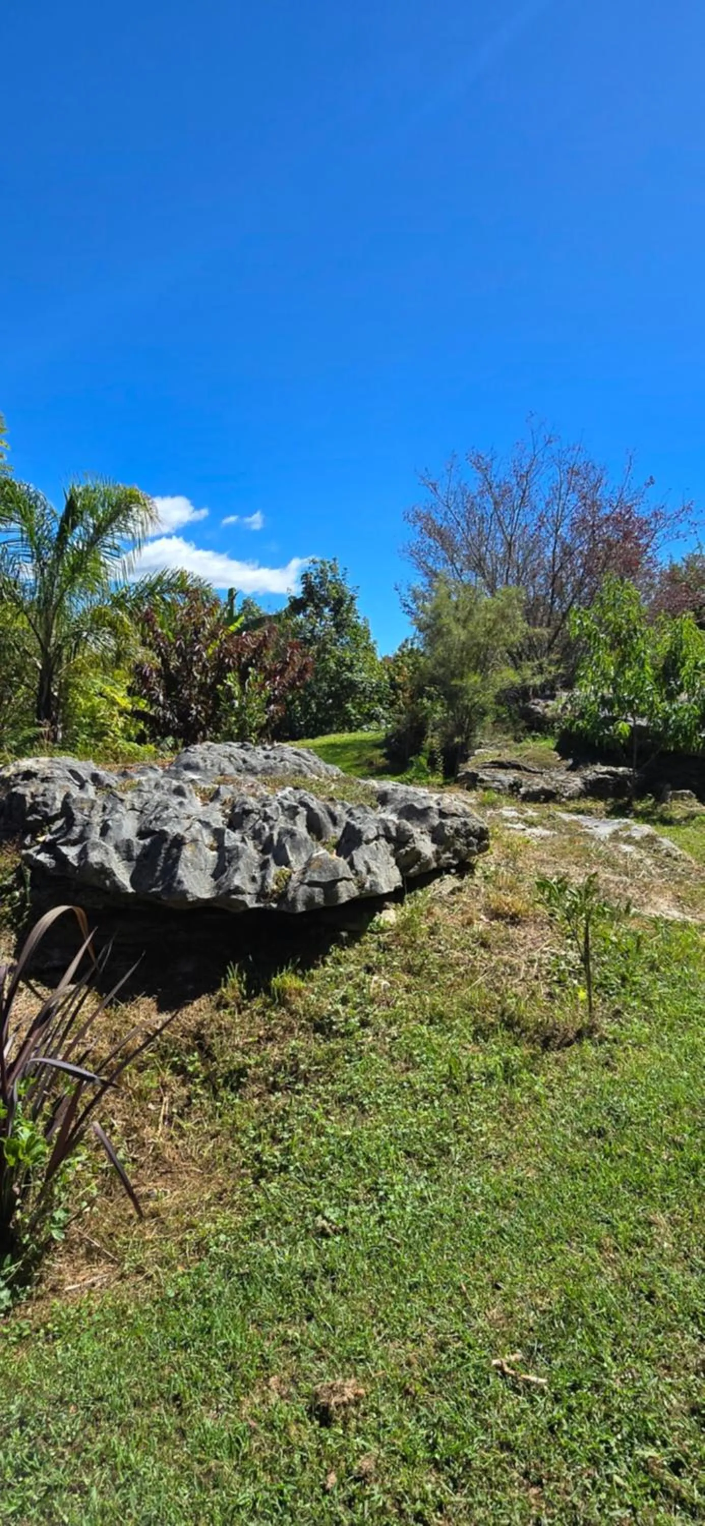 Natural landscape in The Rocks Chalets