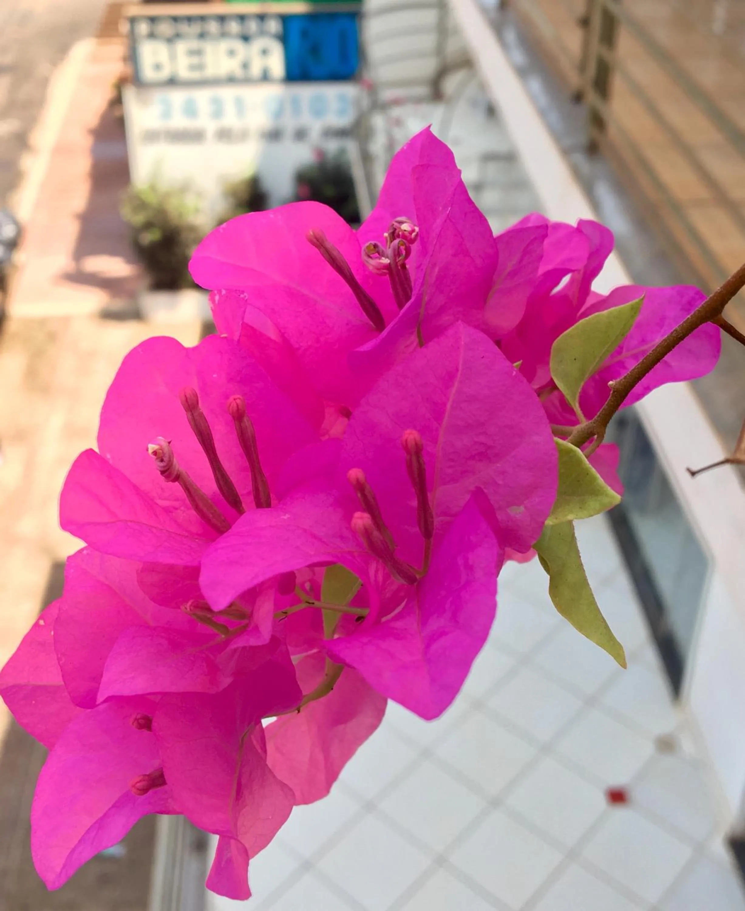 Property logo or sign in Pousada Beira Rio