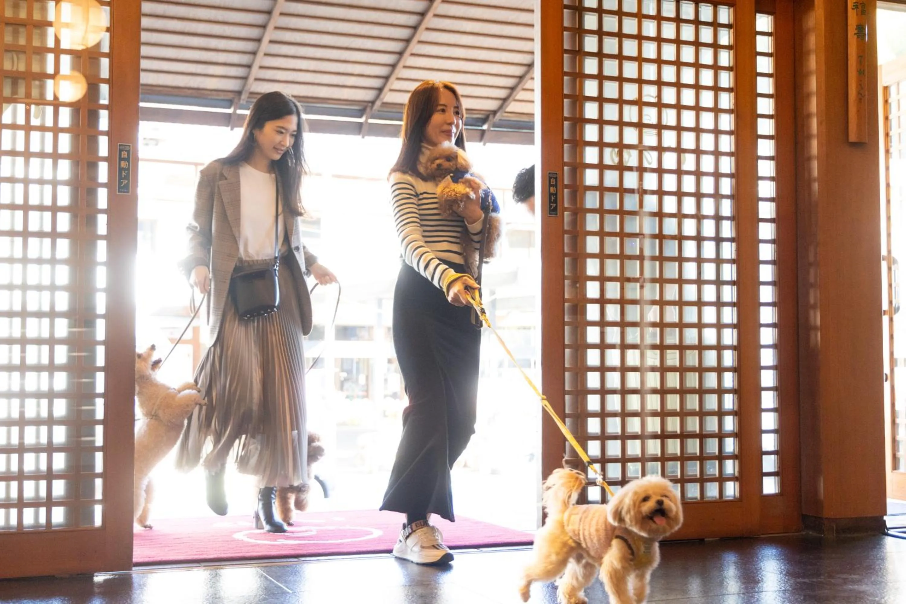 Facade/entrance in Komatsuya Hachinobou