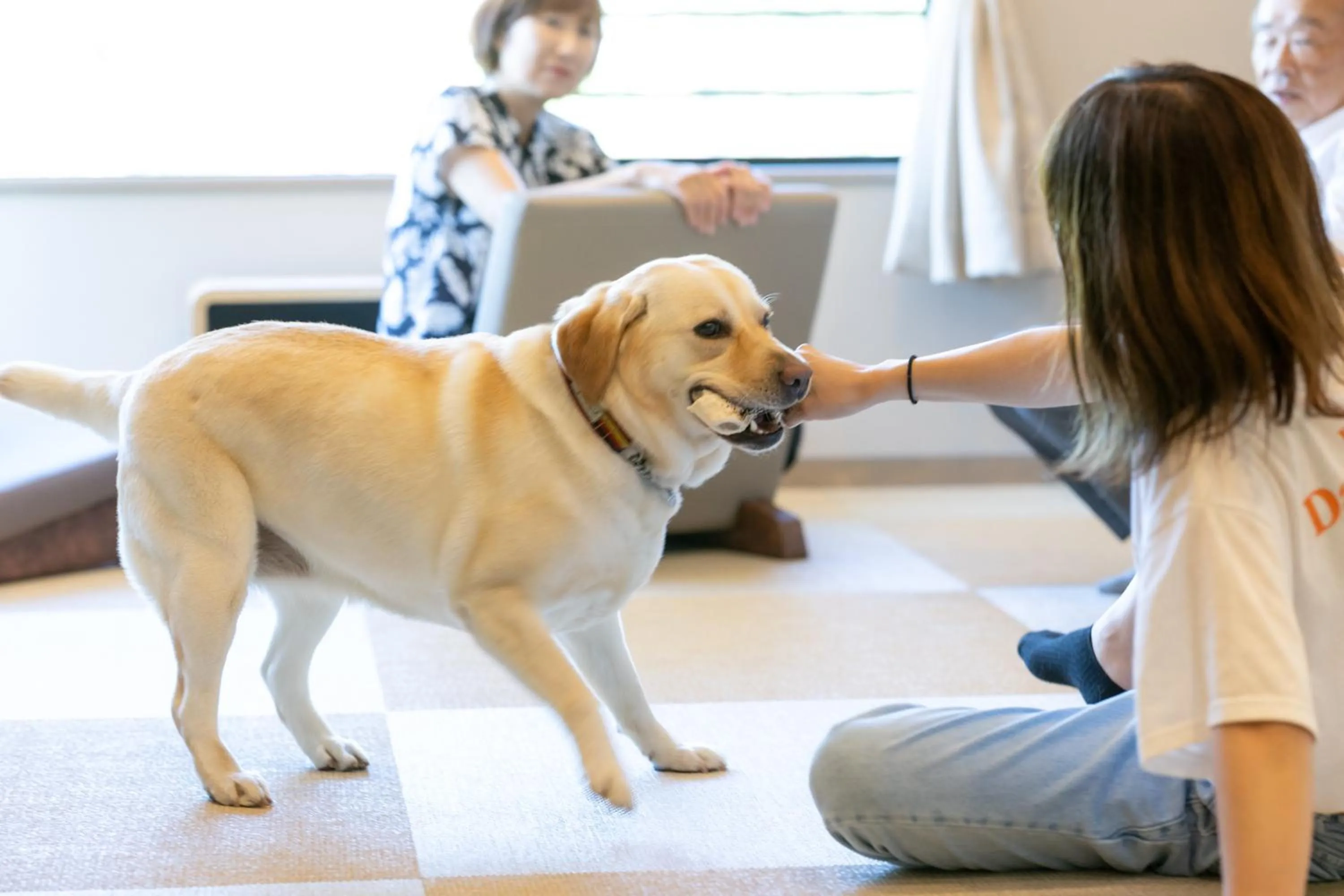 Pets in Komatsuya Hachinobou