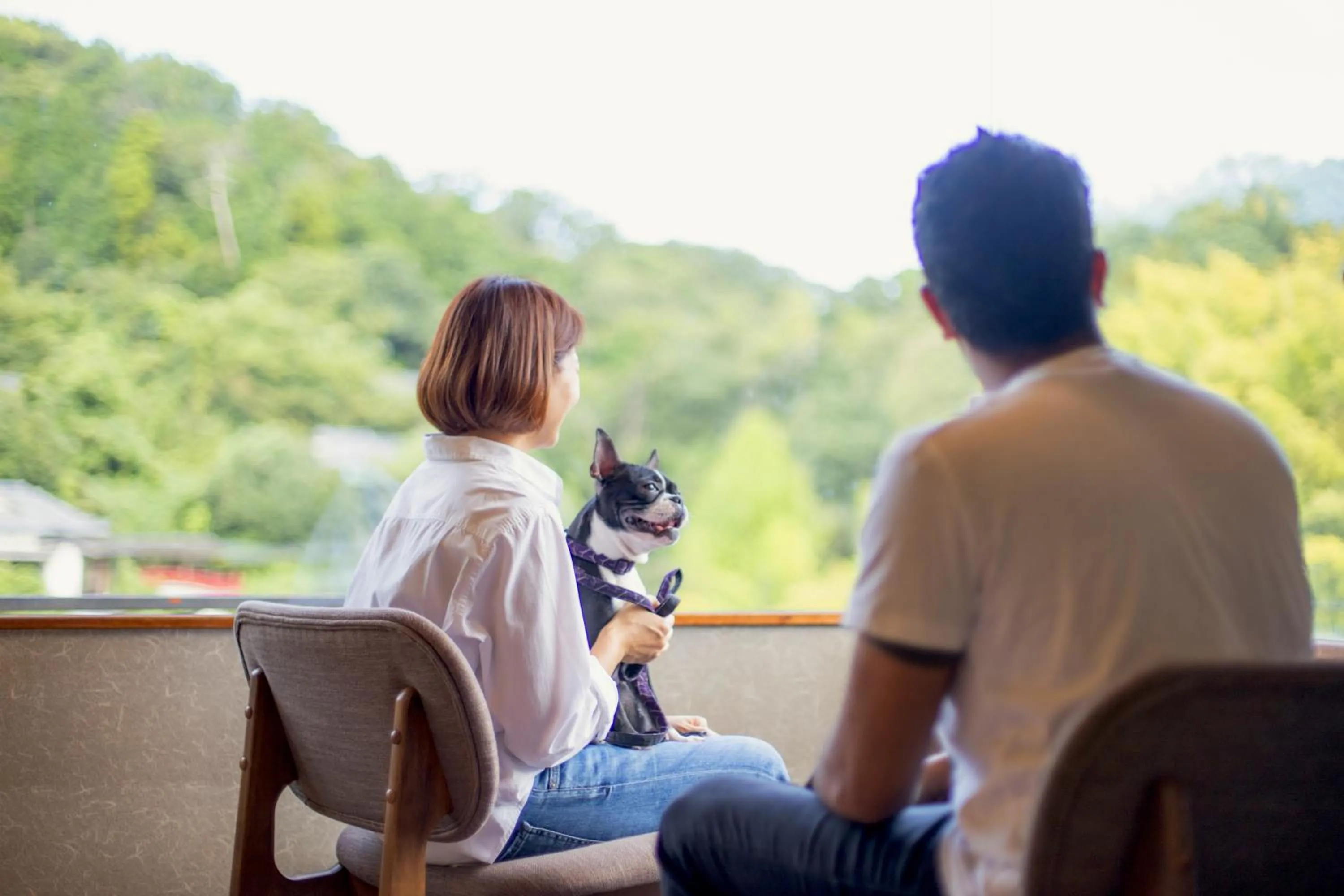 Pets in Komatsuya Hachinobou