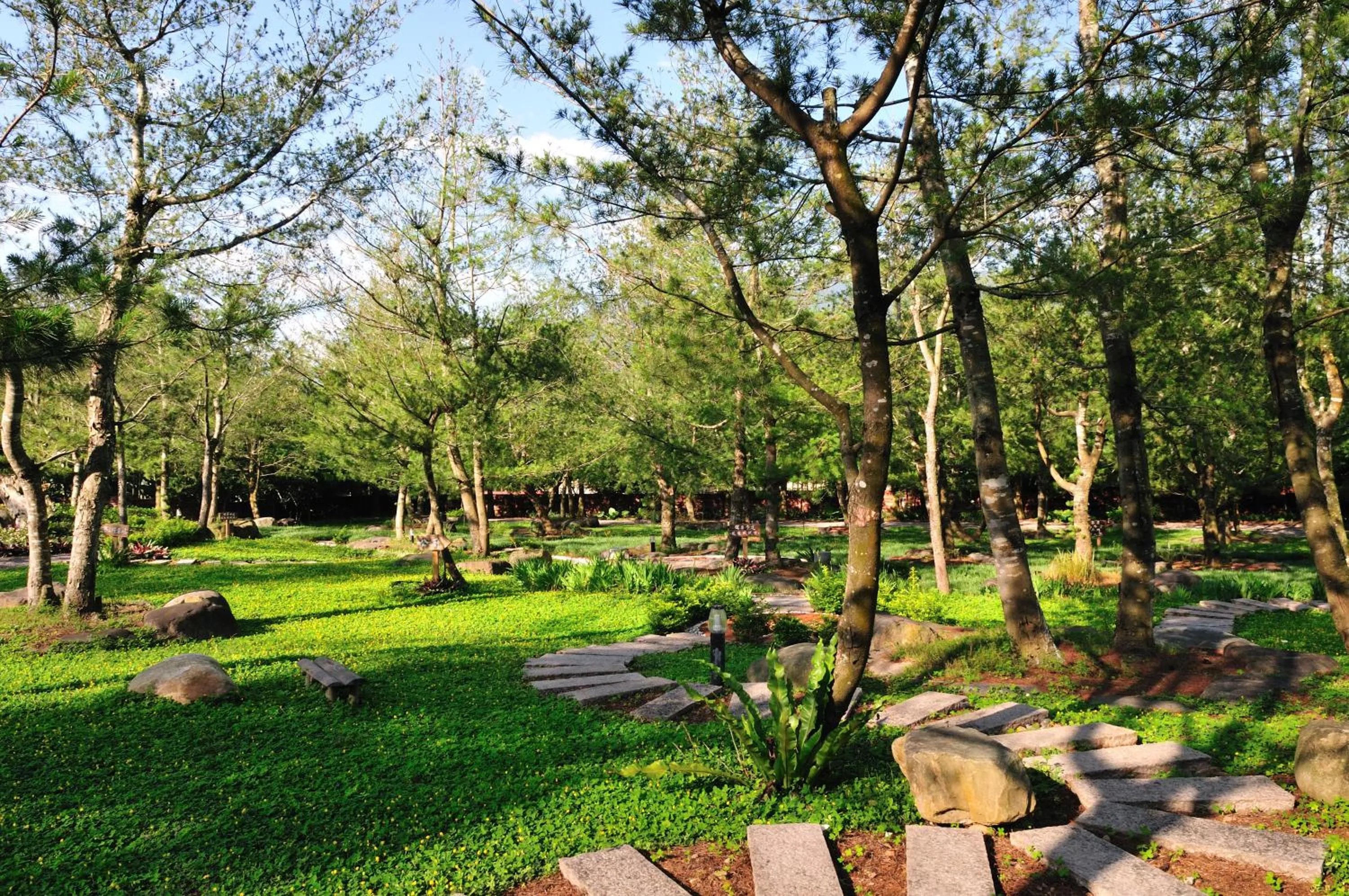 Garden in Zen and Pine Resort