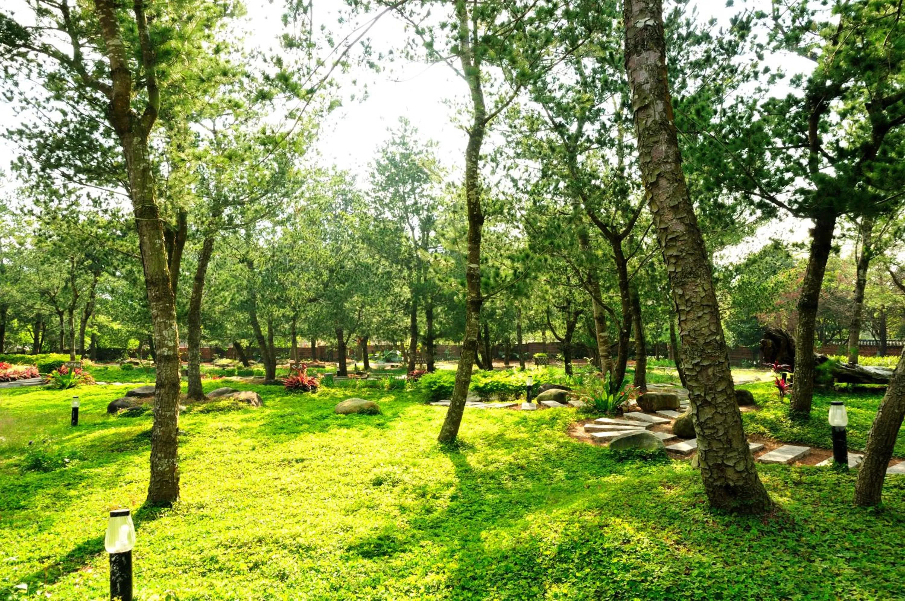 Garden in Zen and Pine Resort