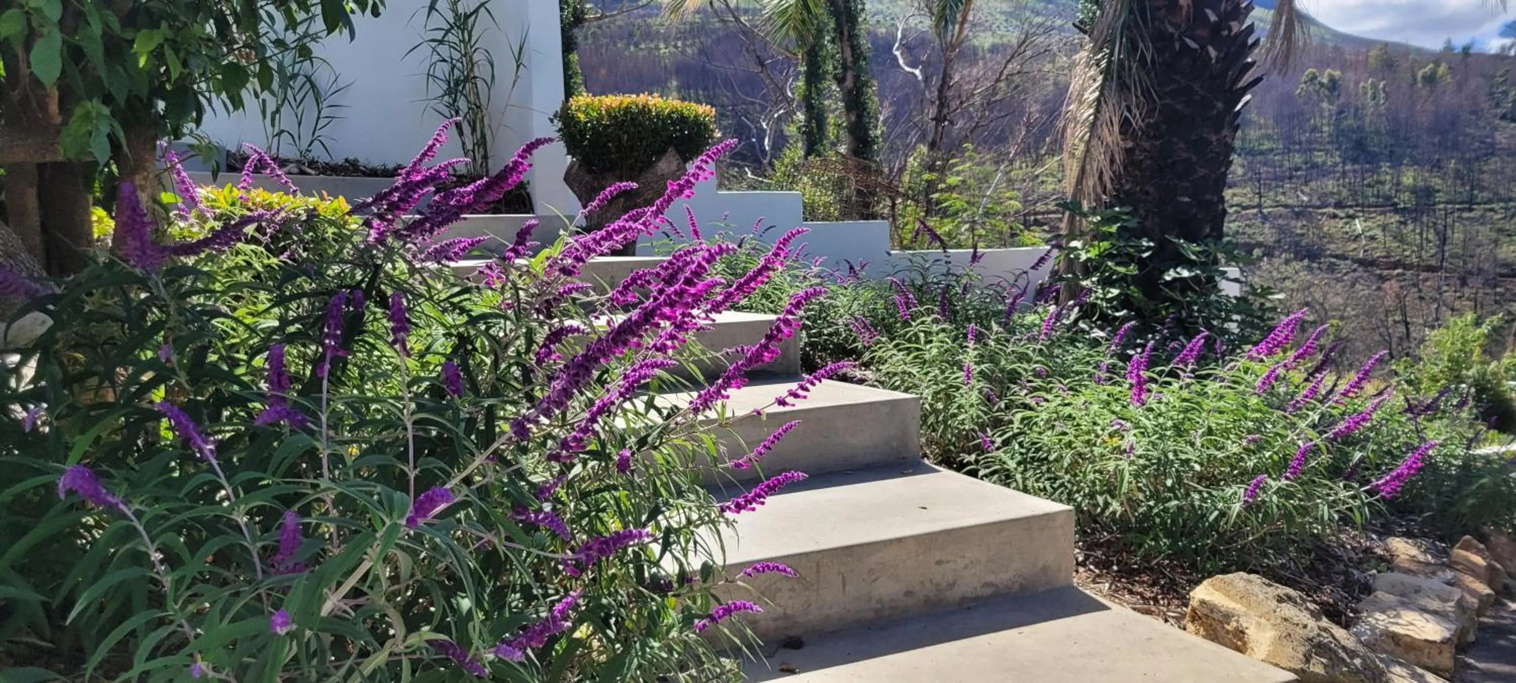Hot Tub in De Molen Guest House