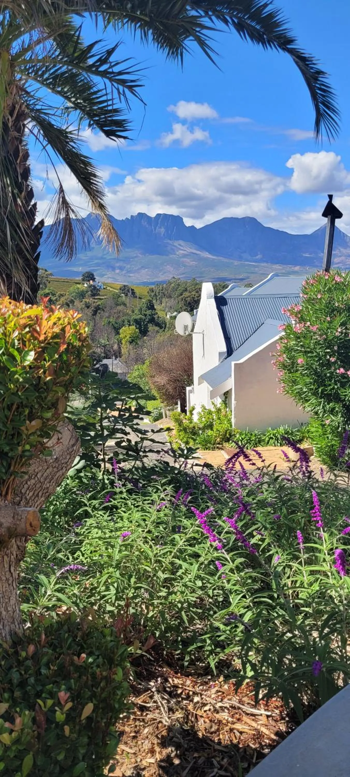 Property building in De Molen Guest House