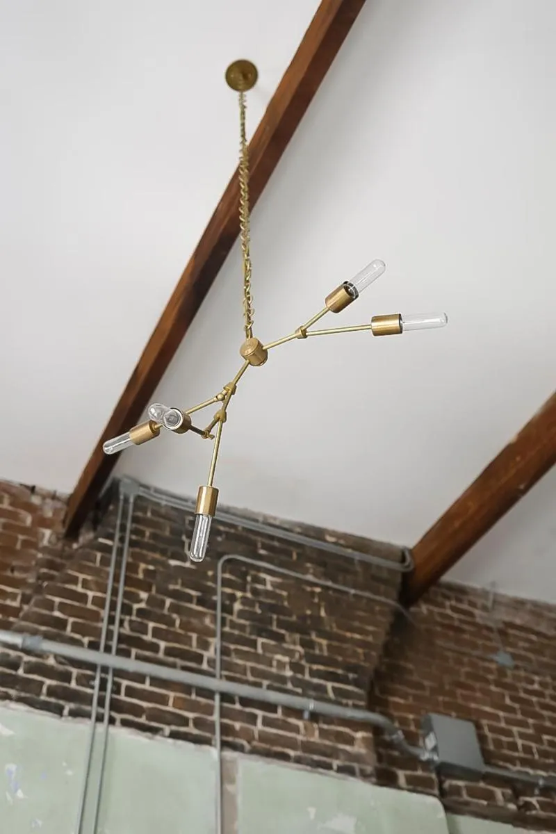 The Grant by Black Swan