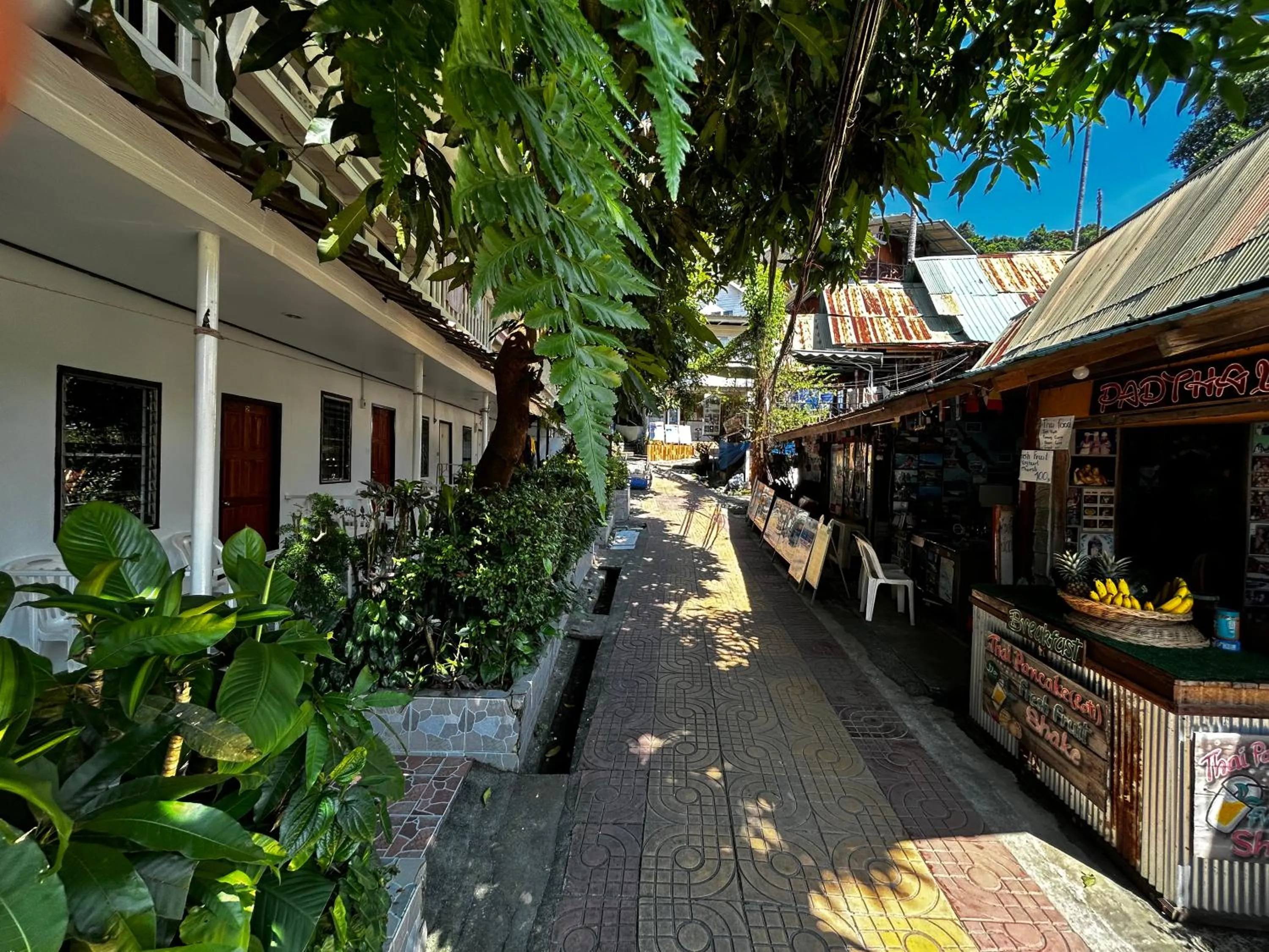 Property building in Coco's Guest House