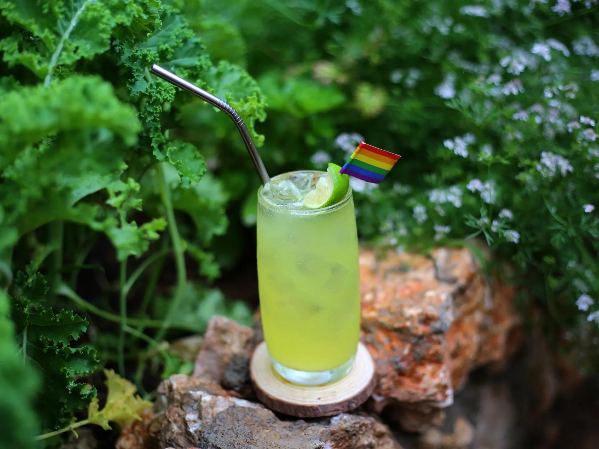 Lounge or bar in The Bivou Lijiang