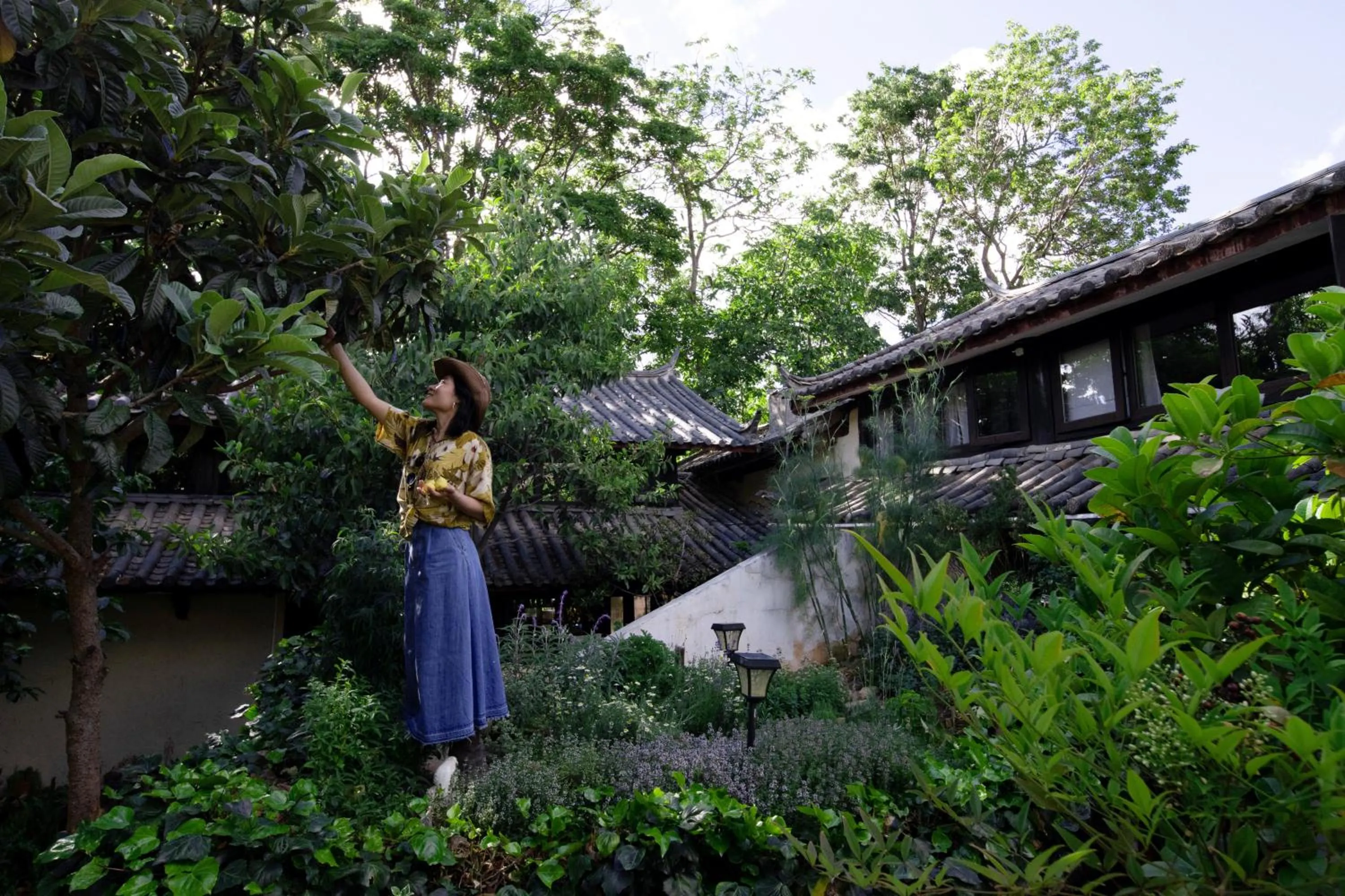 Natural landscape in The Bivou Lijiang