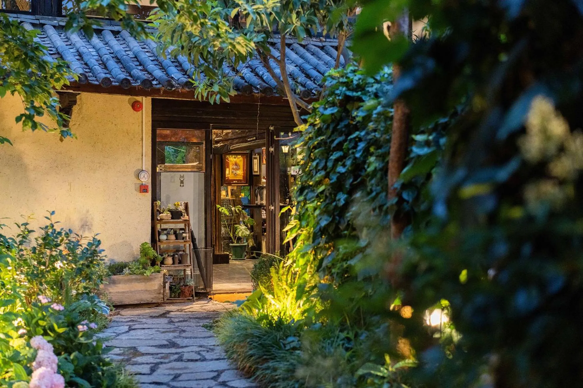 Garden in The Bivou Lijiang
