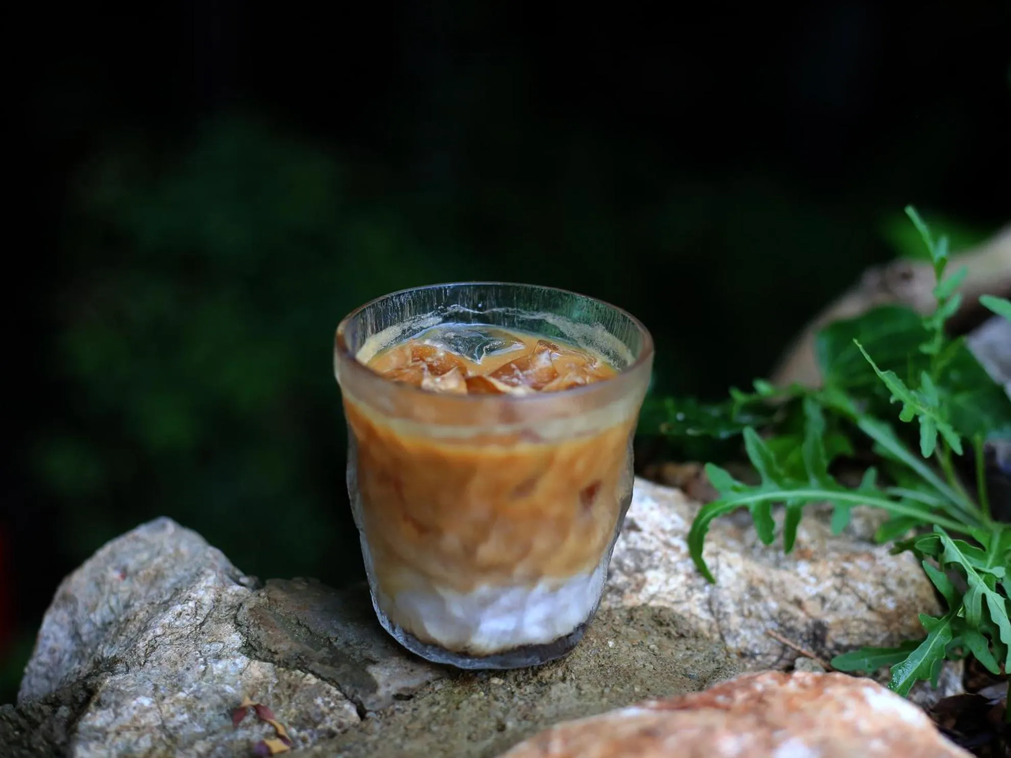 Restaurant/places to eat in The Bivou Lijiang