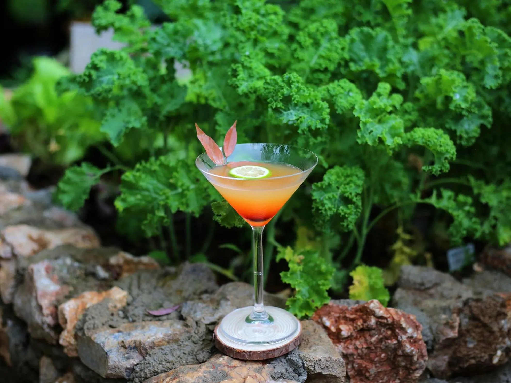 Lounge or bar in The Bivou Lijiang