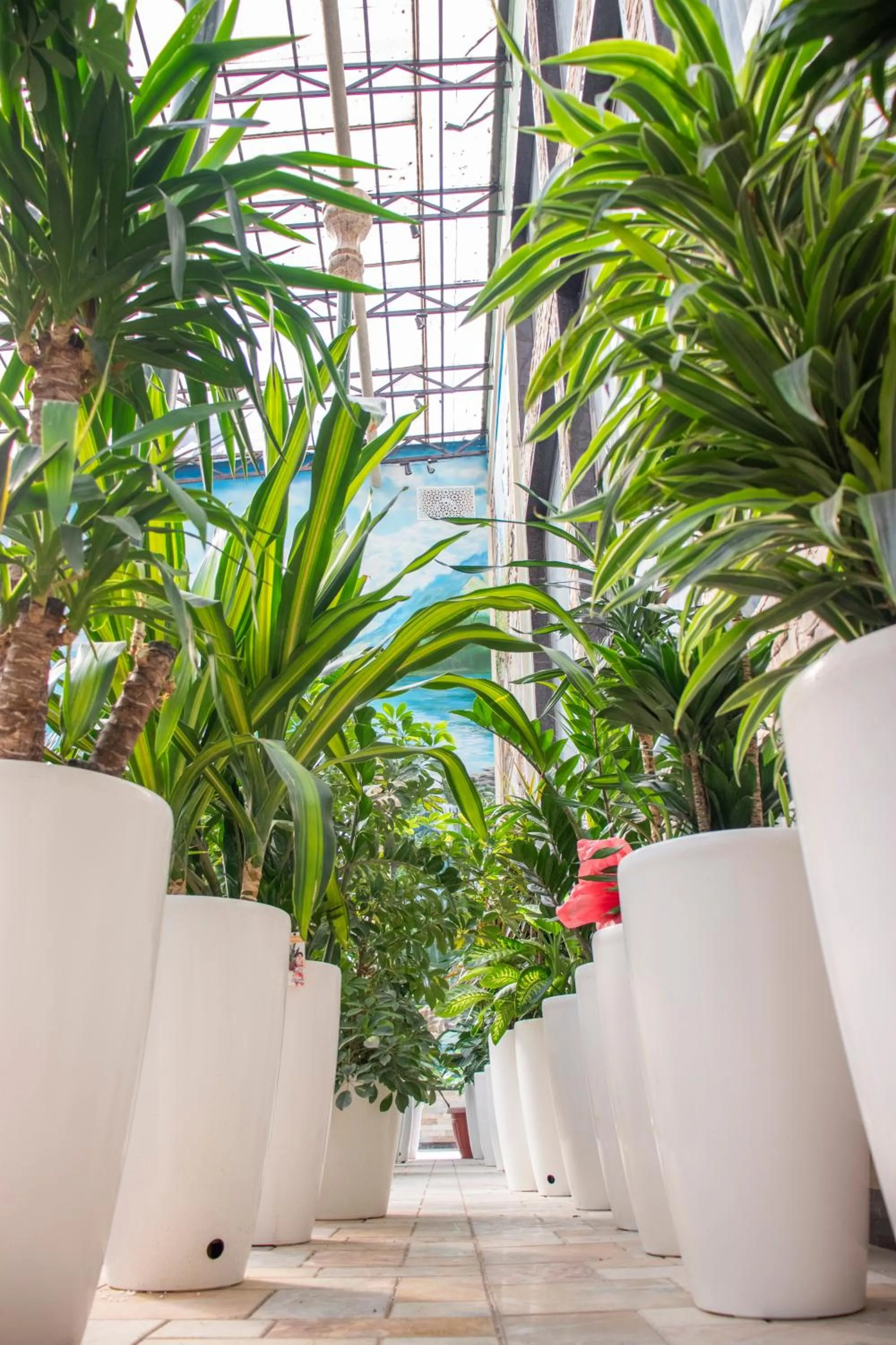 Garden in Garden Plaza Bukhara