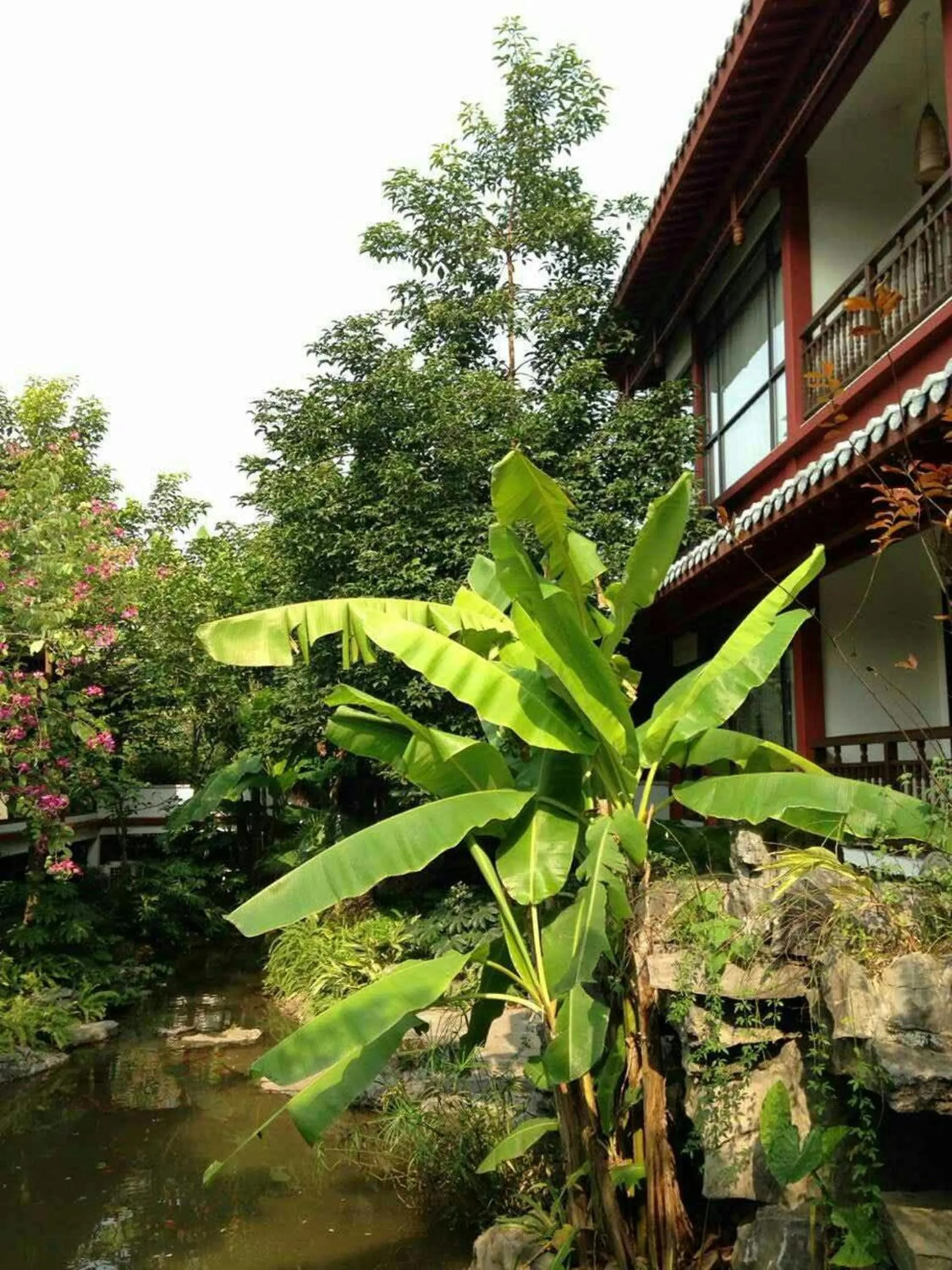 View (from property/room) in Guilin Zizhou Panorama Resort
