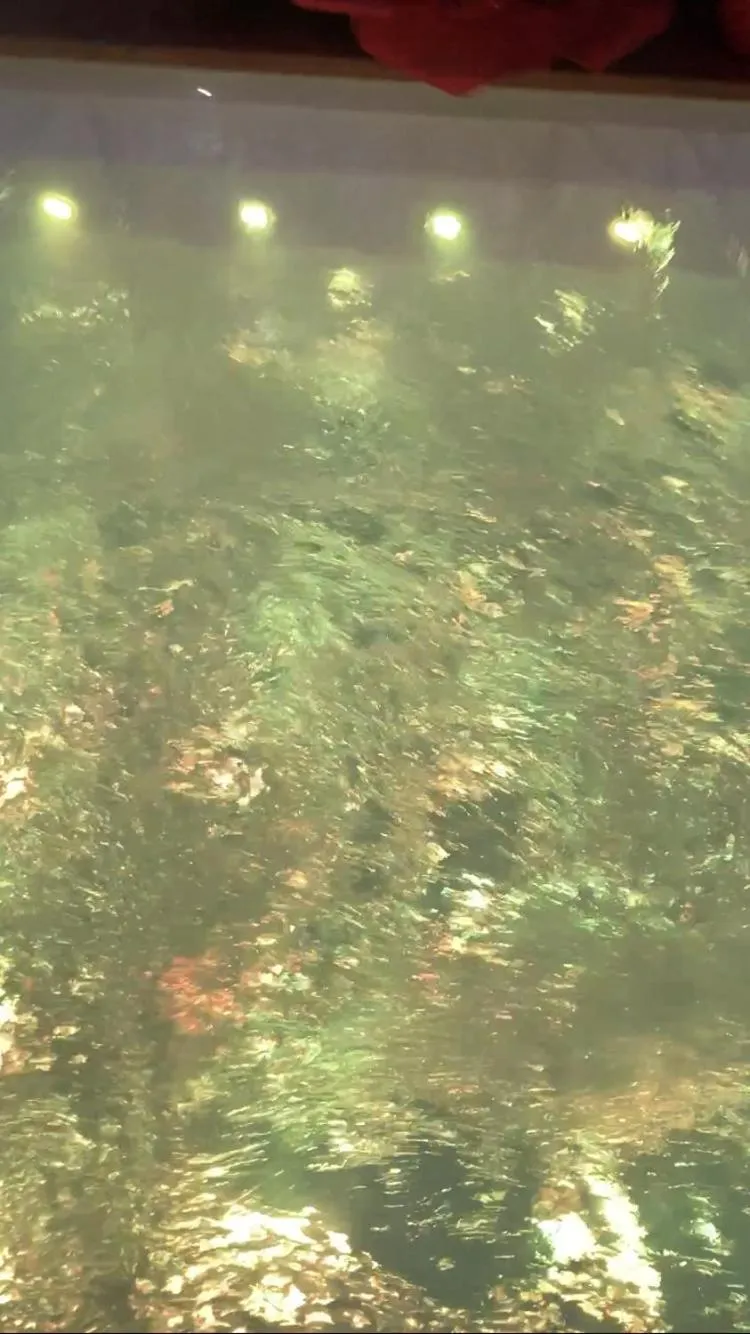 B&B LA REGGIA DI RIHANNA spa