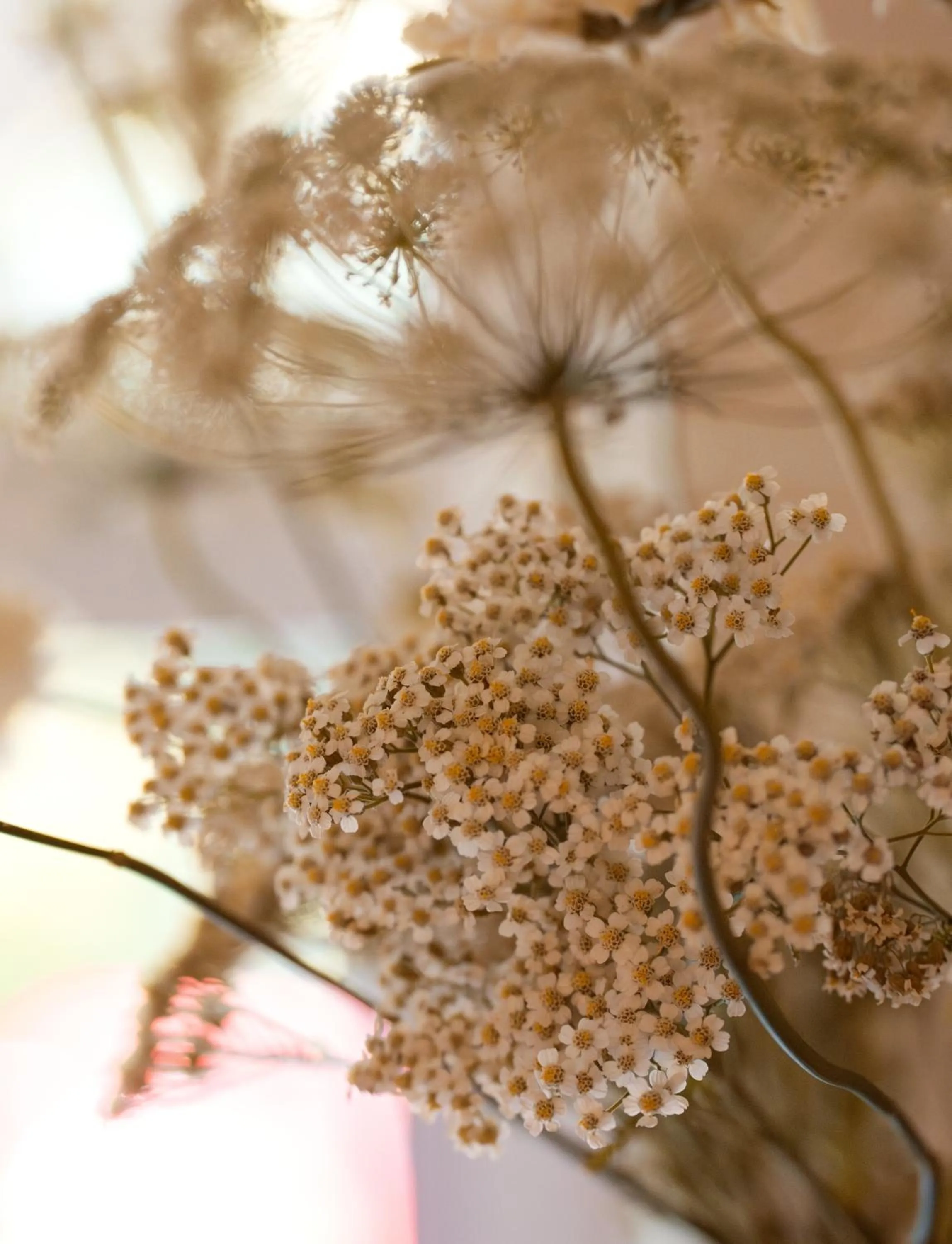 Decorative detail in Leighton House - Boutique Guesthouse
