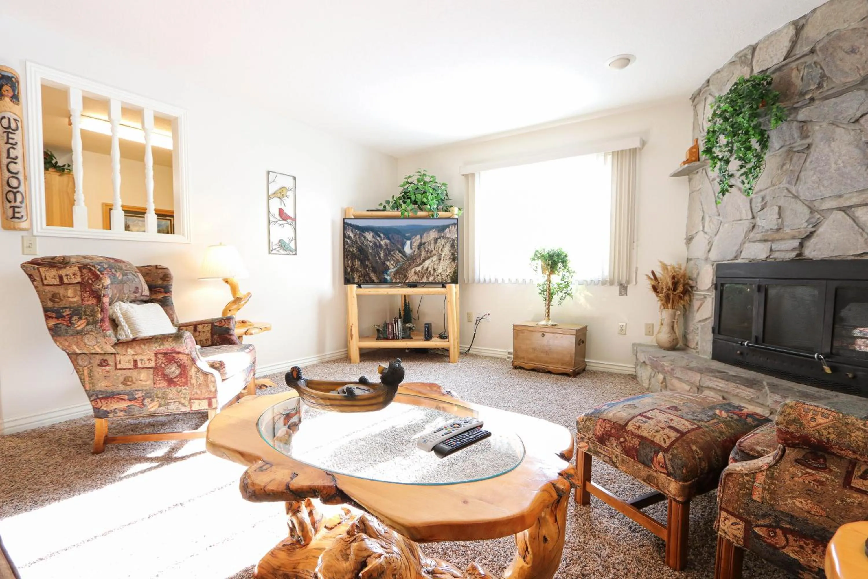 TV and multimedia in South Fork Cabin