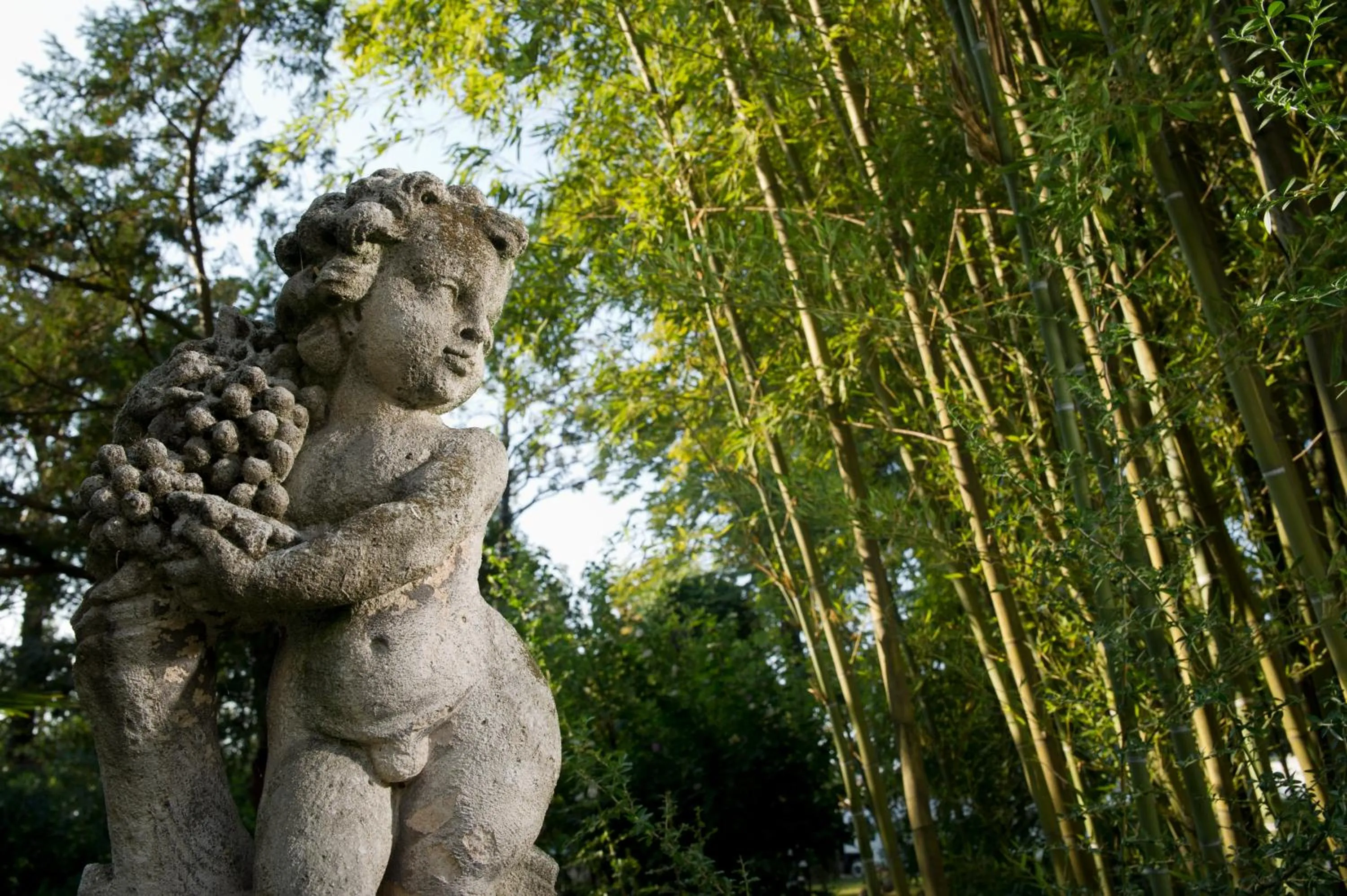 Other in Villa Pace Park Hotel Bolognese