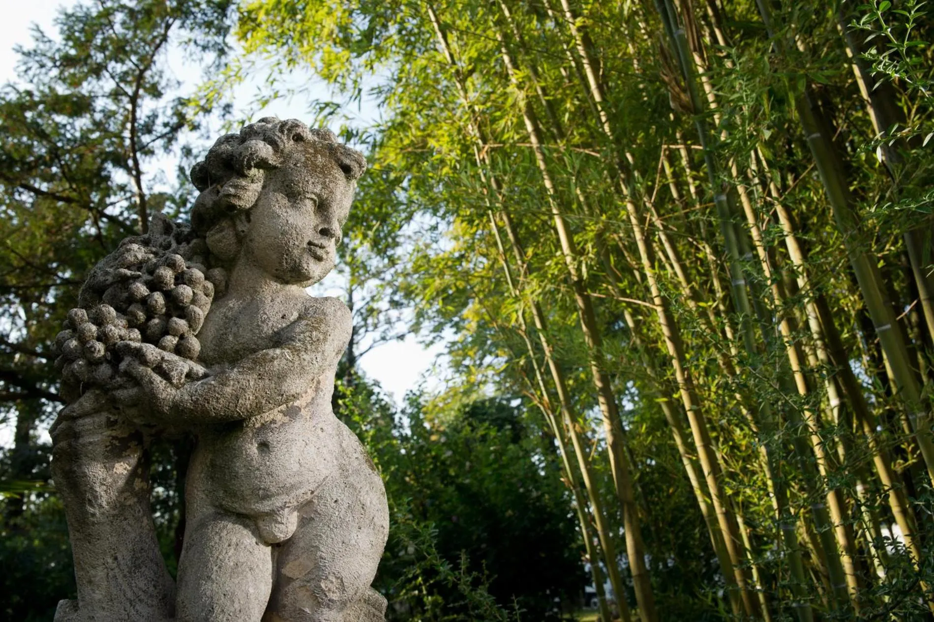 Garden in Villa Pace Park Hotel Bolognese