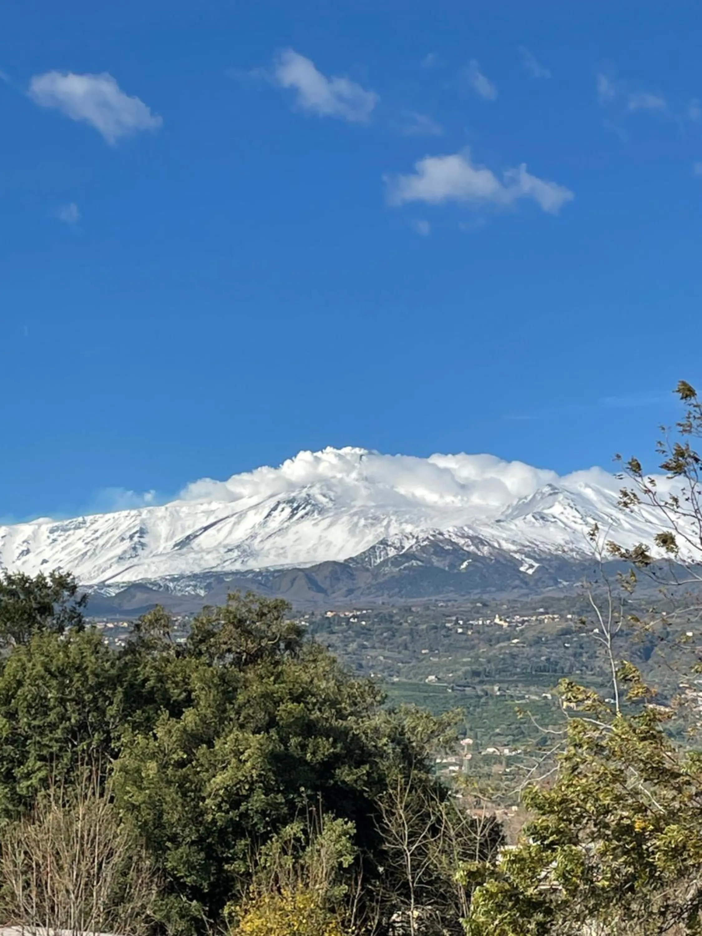 Balcony/Terrace in Oasi Park Hotel
