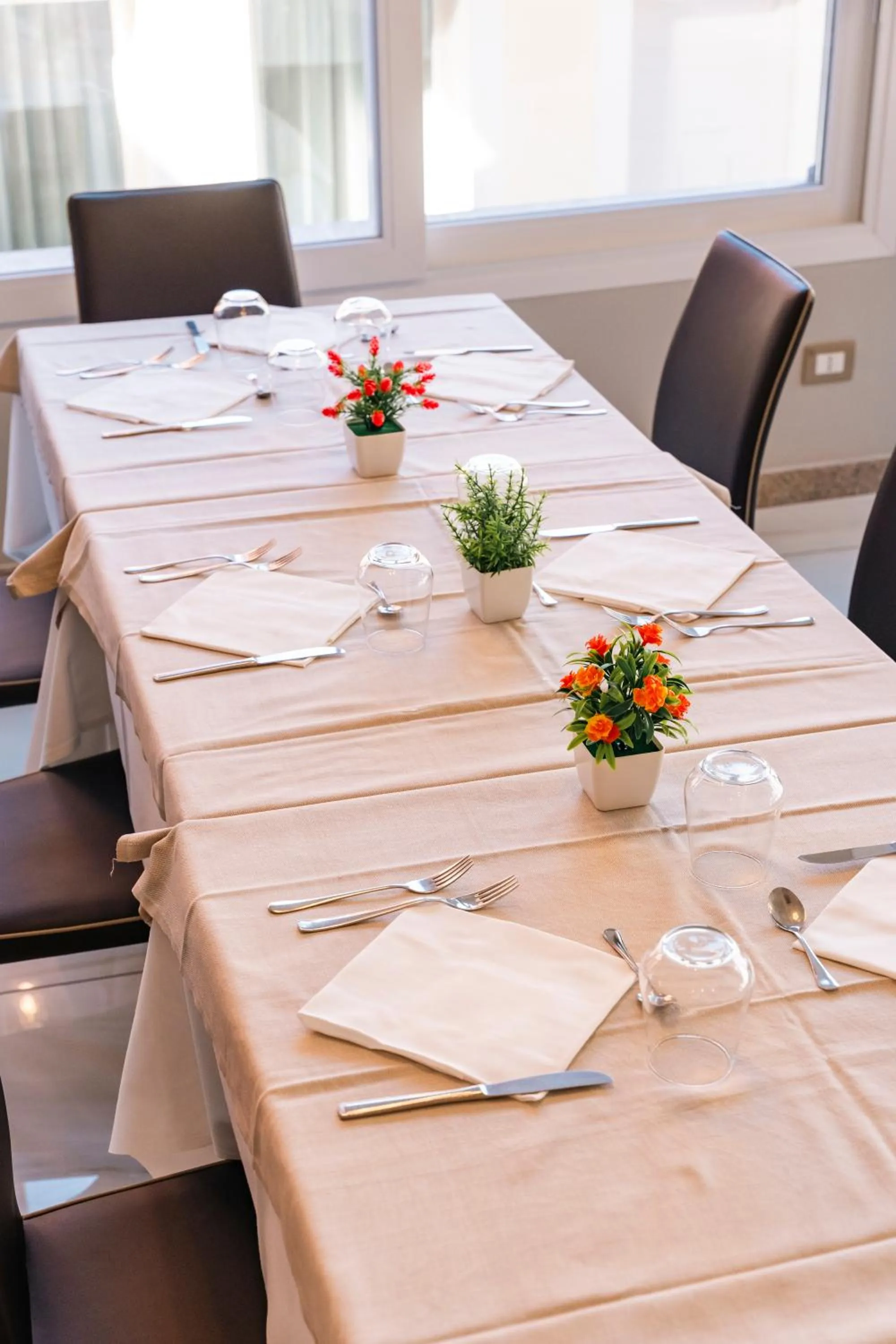 Restaurant/places to eat in Hotel Rosa