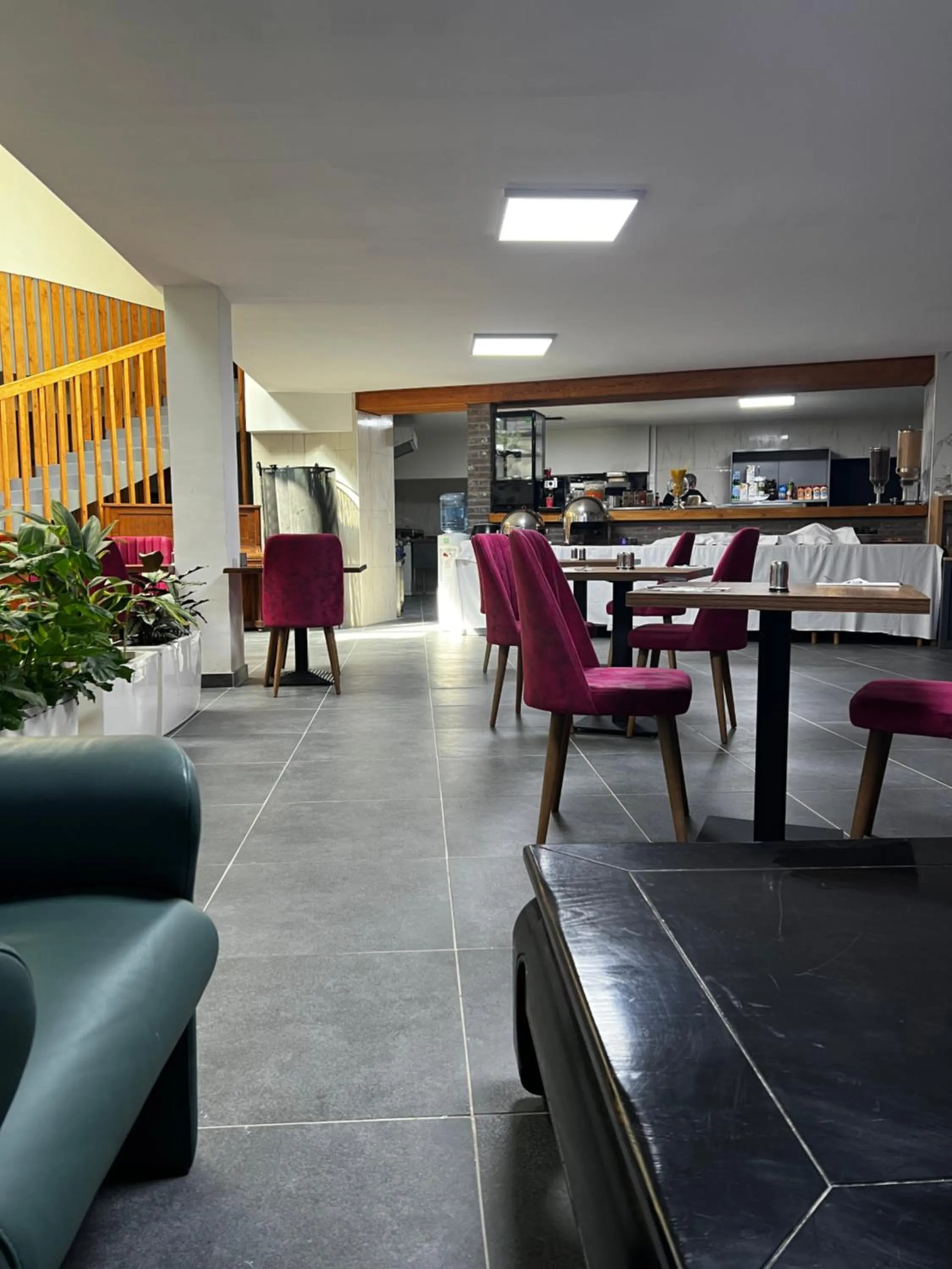 Restaurant/places to eat in Hotel Aviation