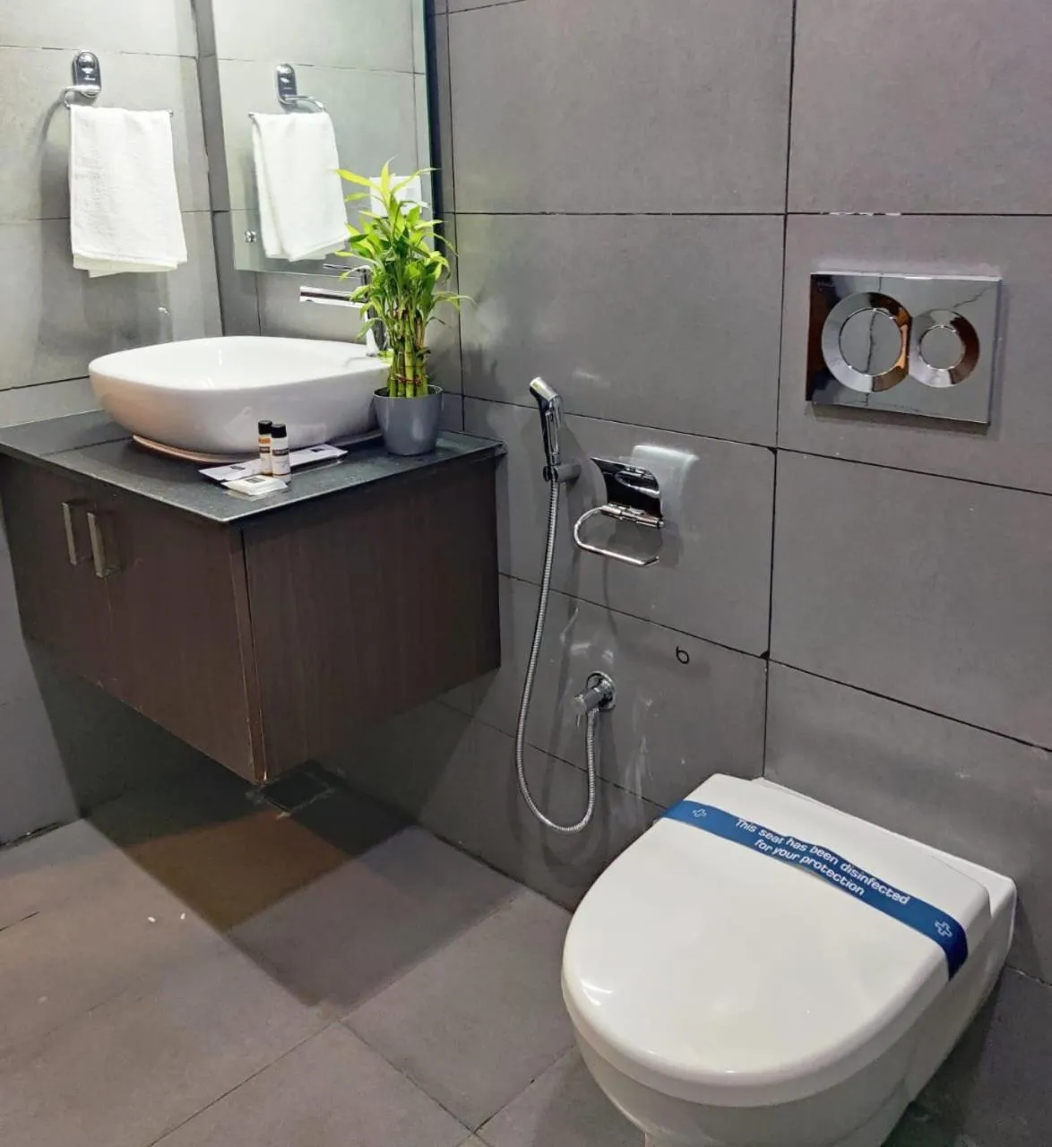 Toilet in HOTEL PARK KRISHNA