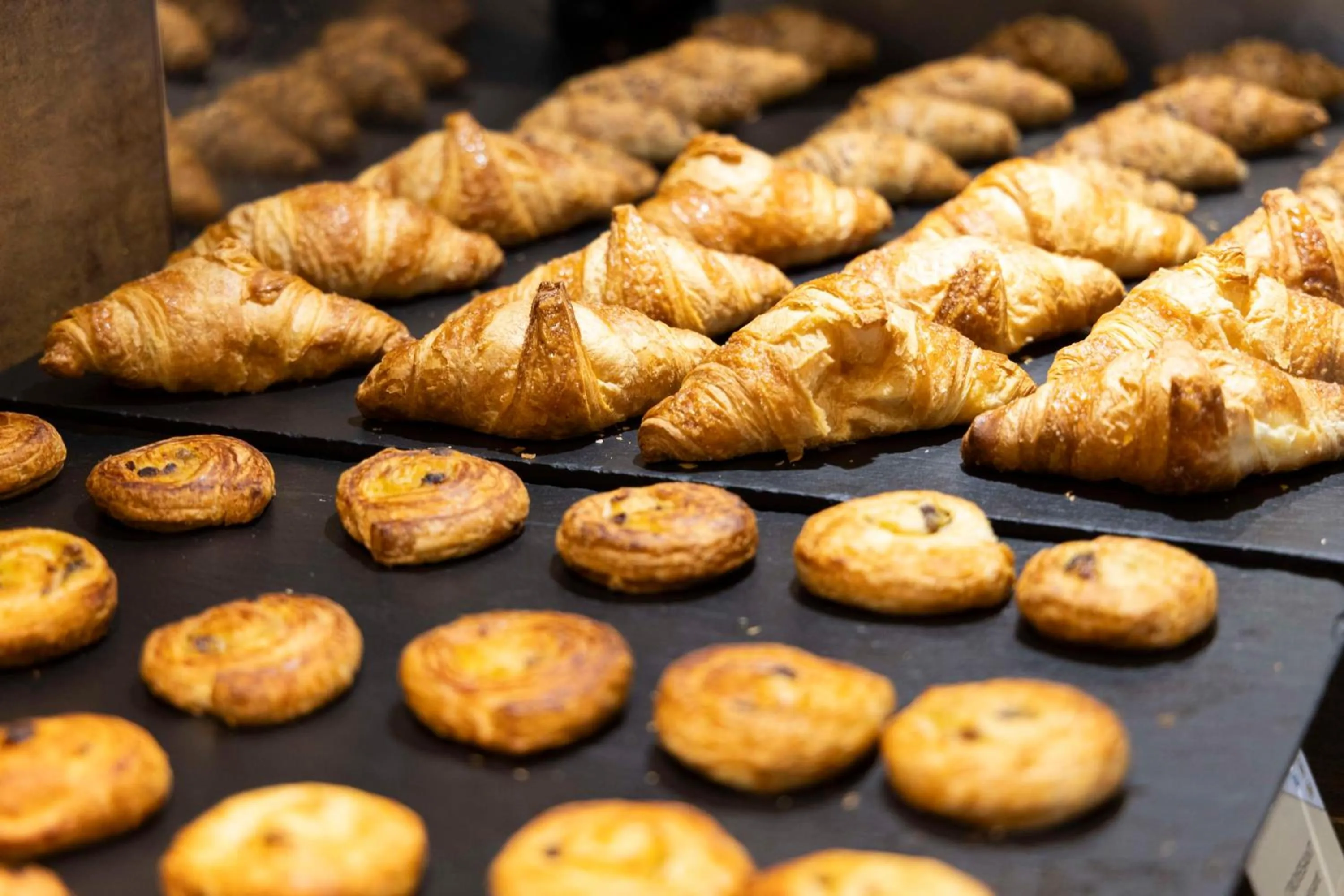 Food and drinks in Best Western Madison Hotel