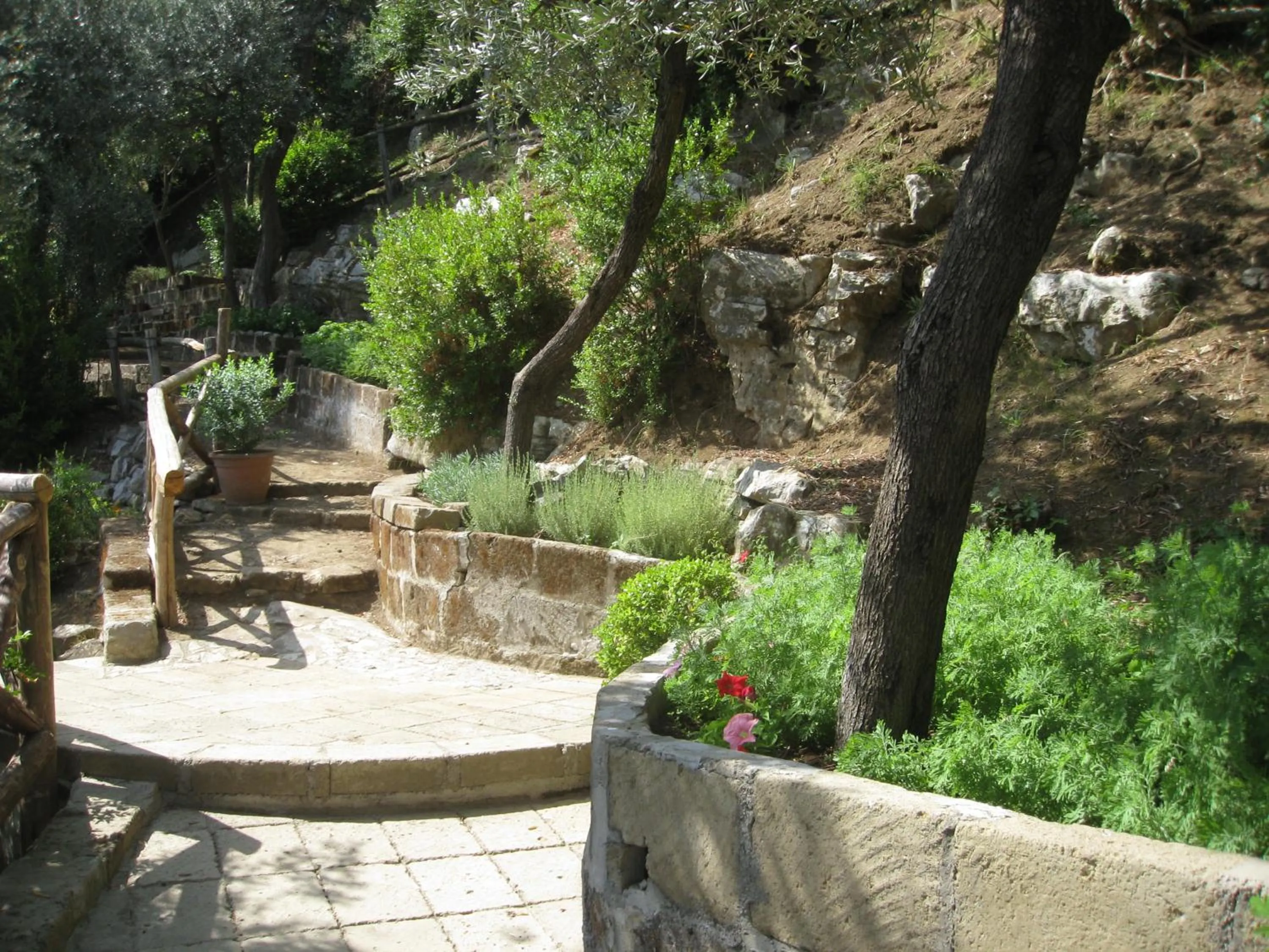 Garden in Hotel Cristina