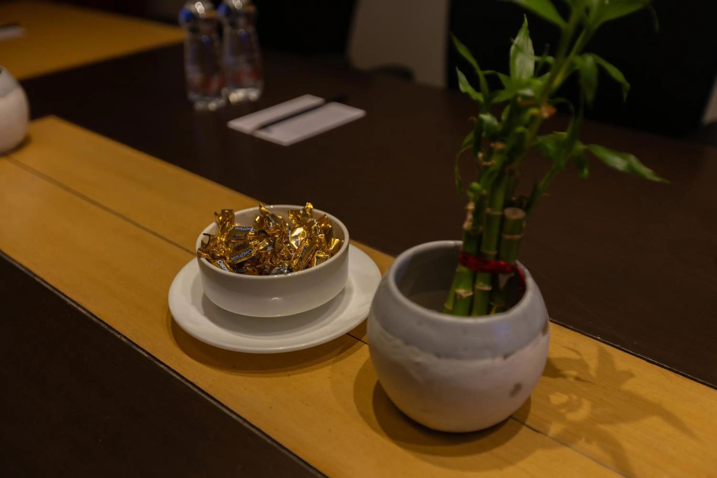 Pride Biznotel Alkapuri Near Vadodara Airport