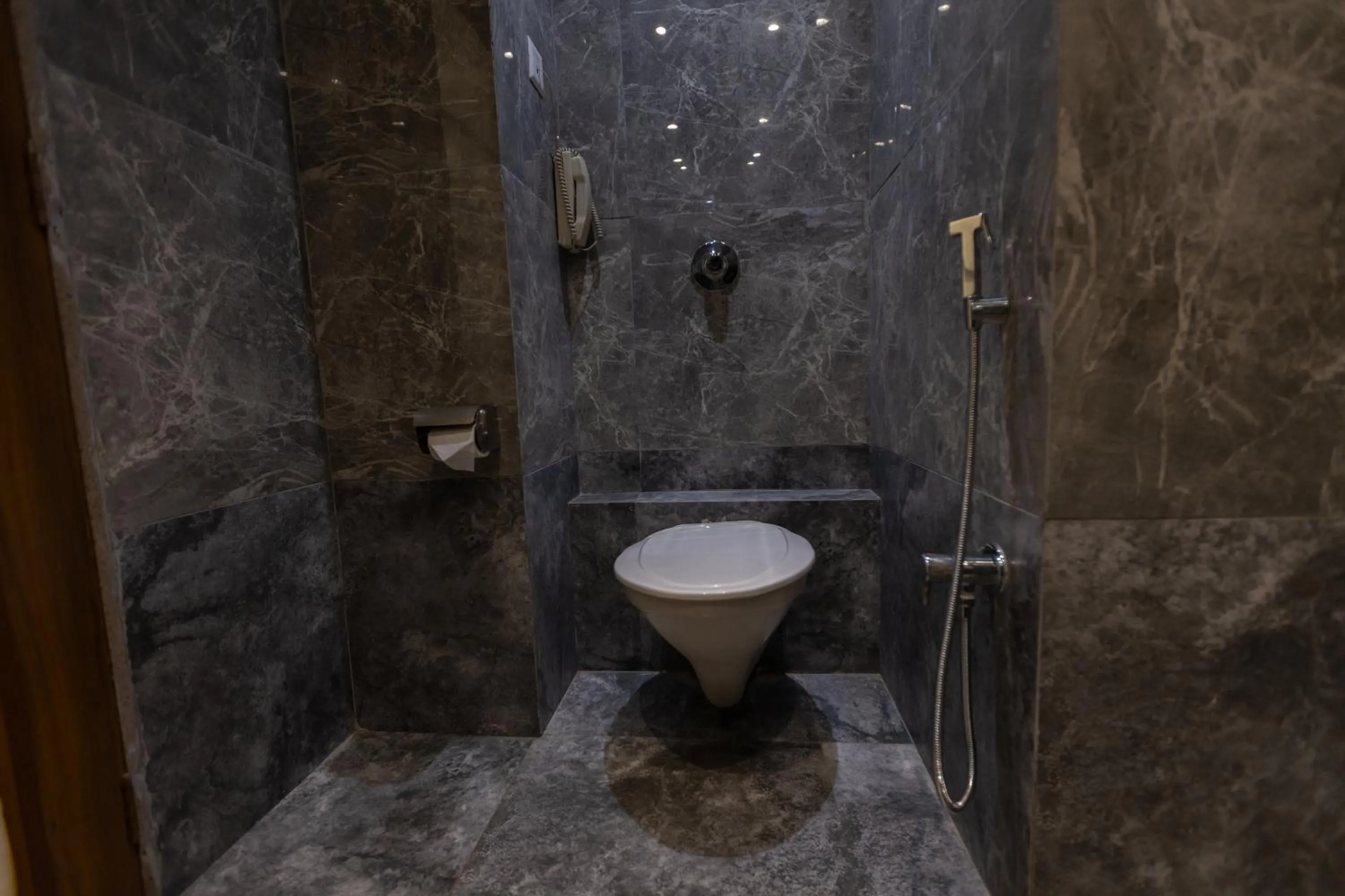 Pride Biznotel Alkapuri Near Vadodara Airport