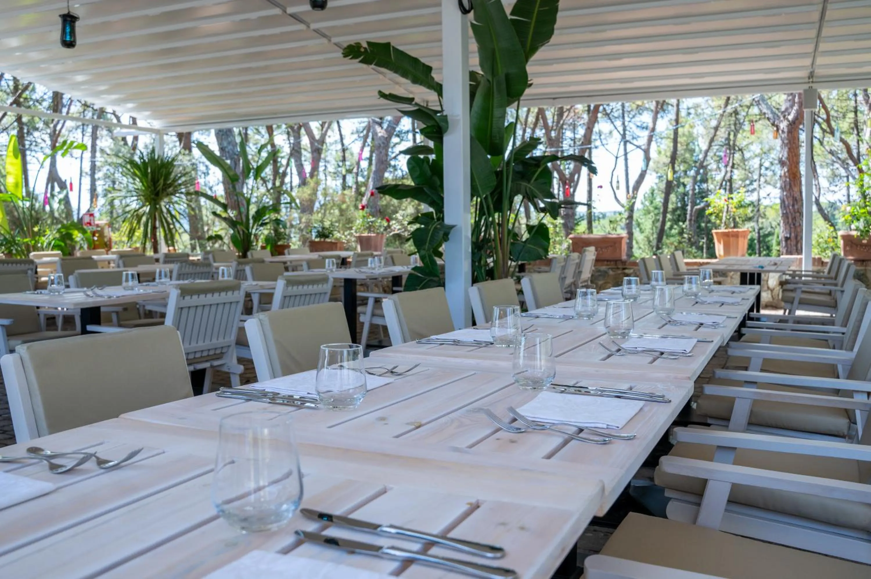Restaurant/places to eat in Villa Cesi Resort & Spa