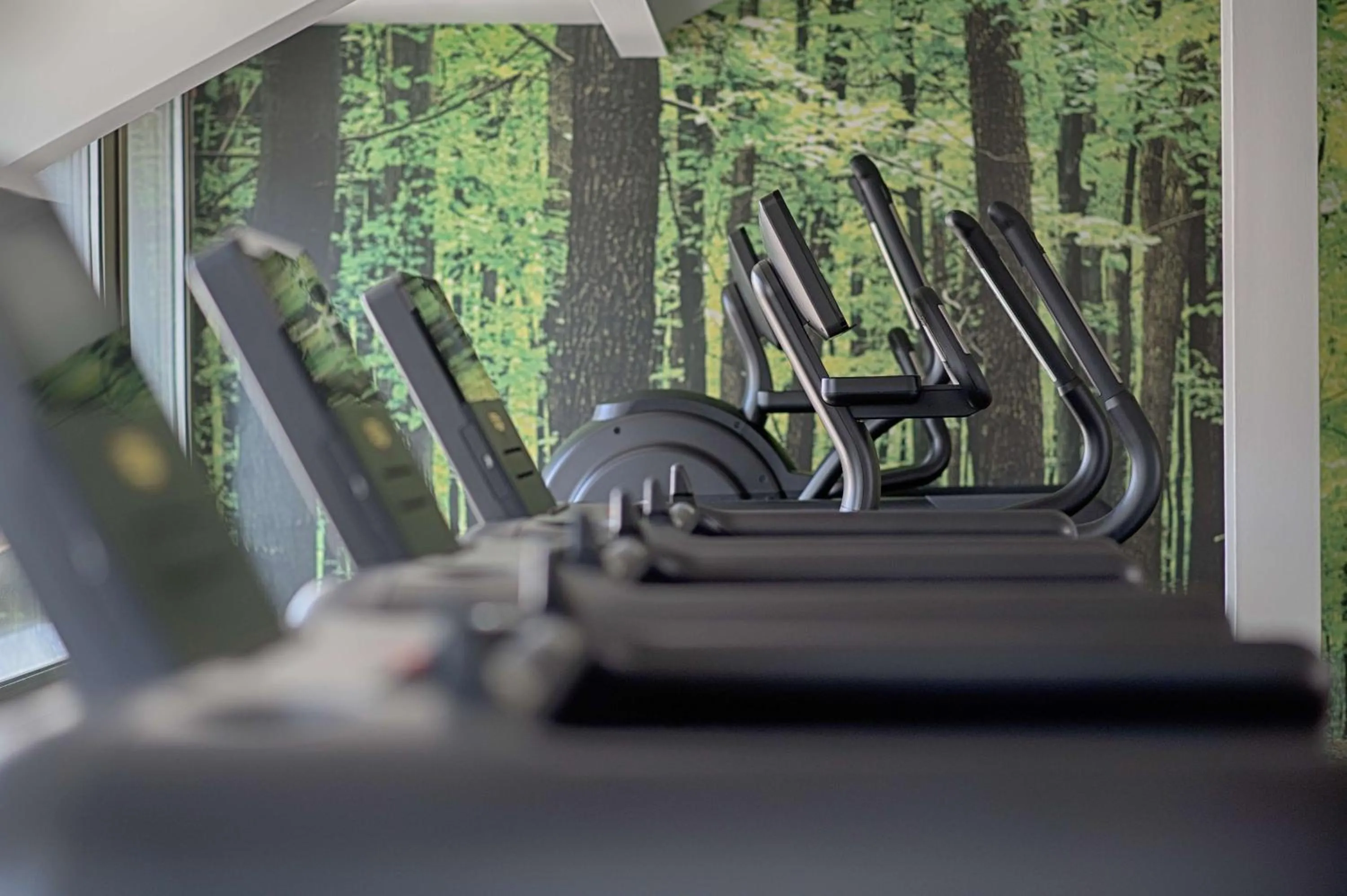 Fitness centre/facilities in NH Collection Roma Centro