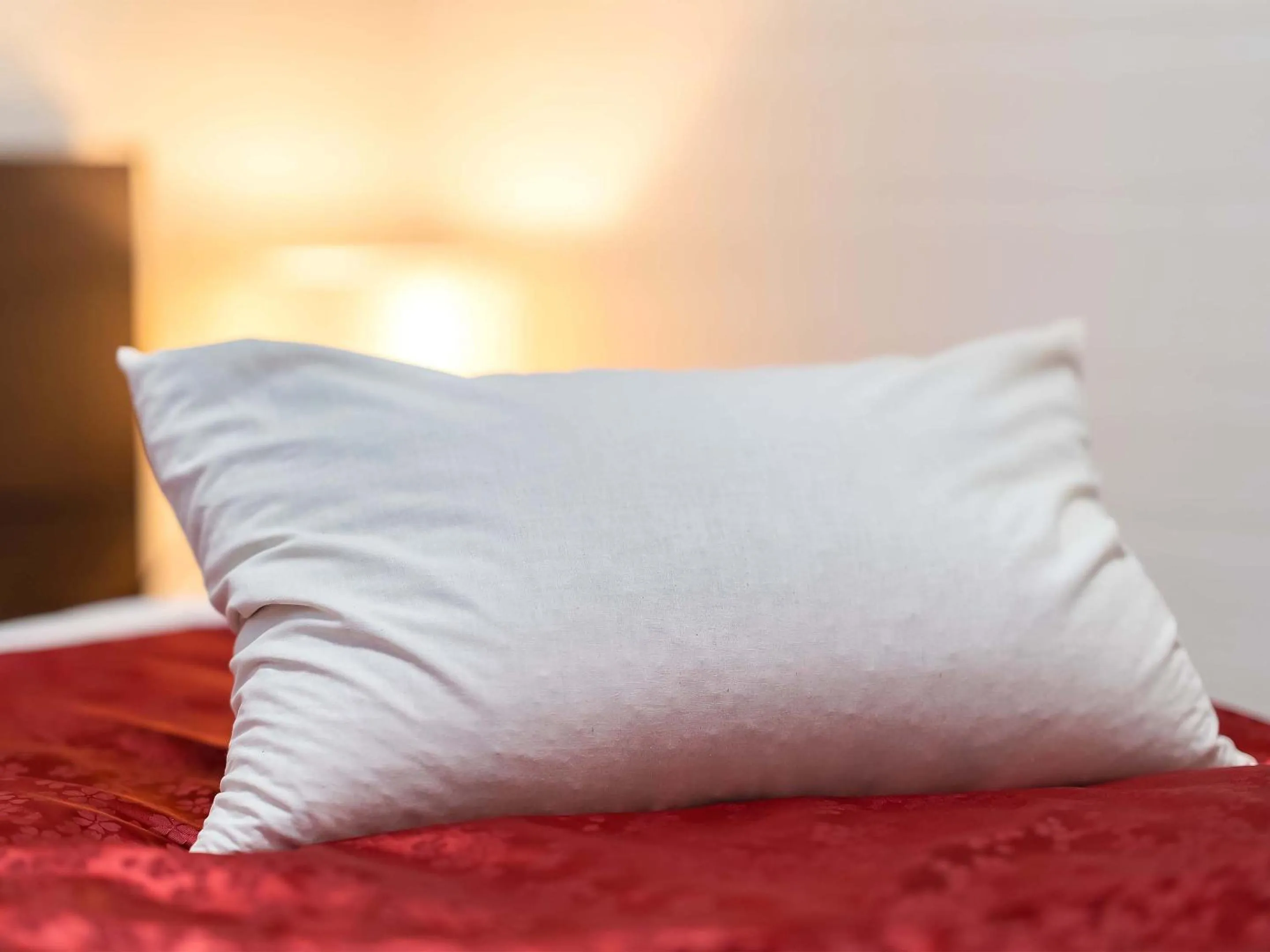 Area and facilities, Bed in Kyoto inn Mio