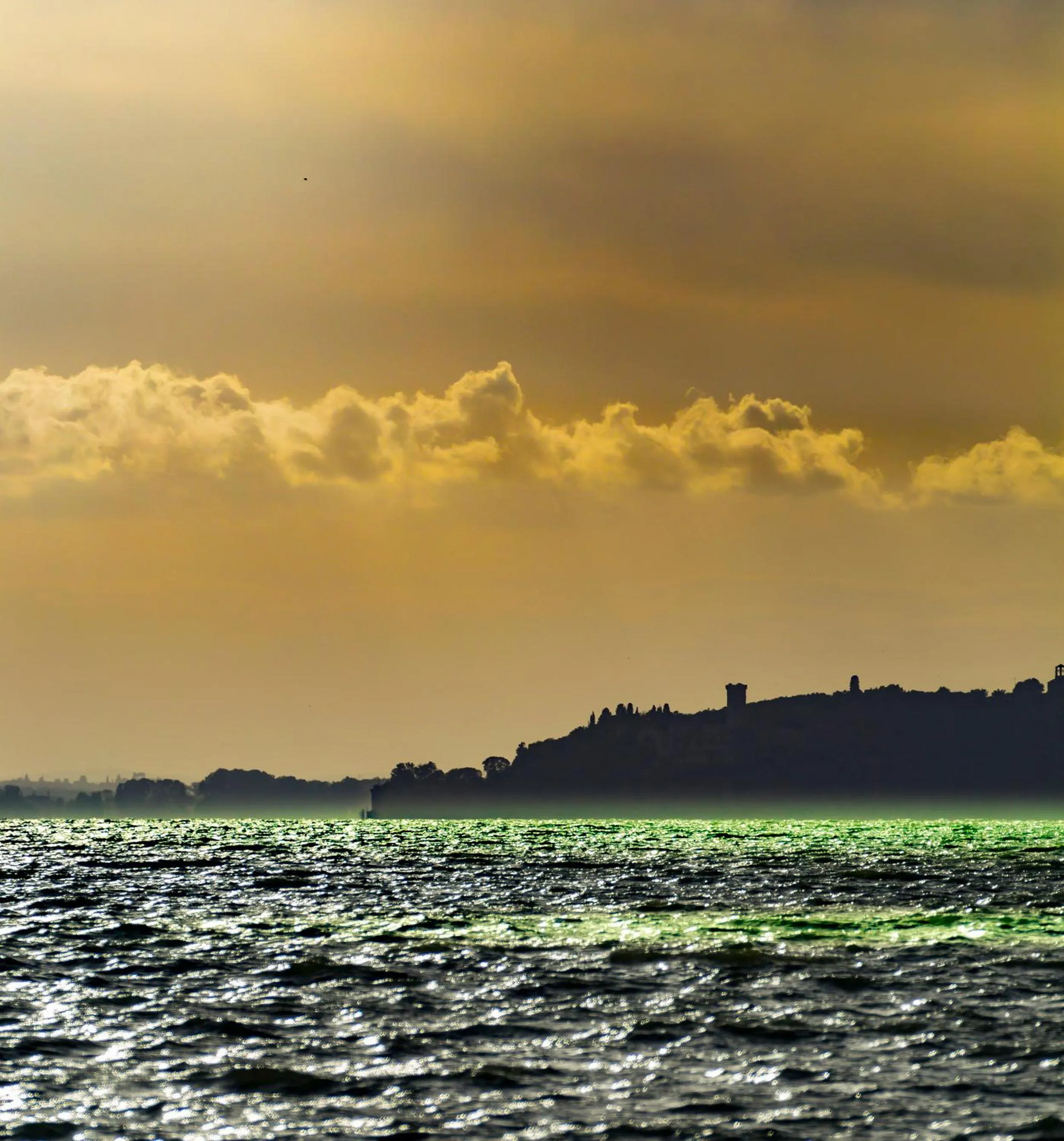 Natural landscape in Hotel Darsena