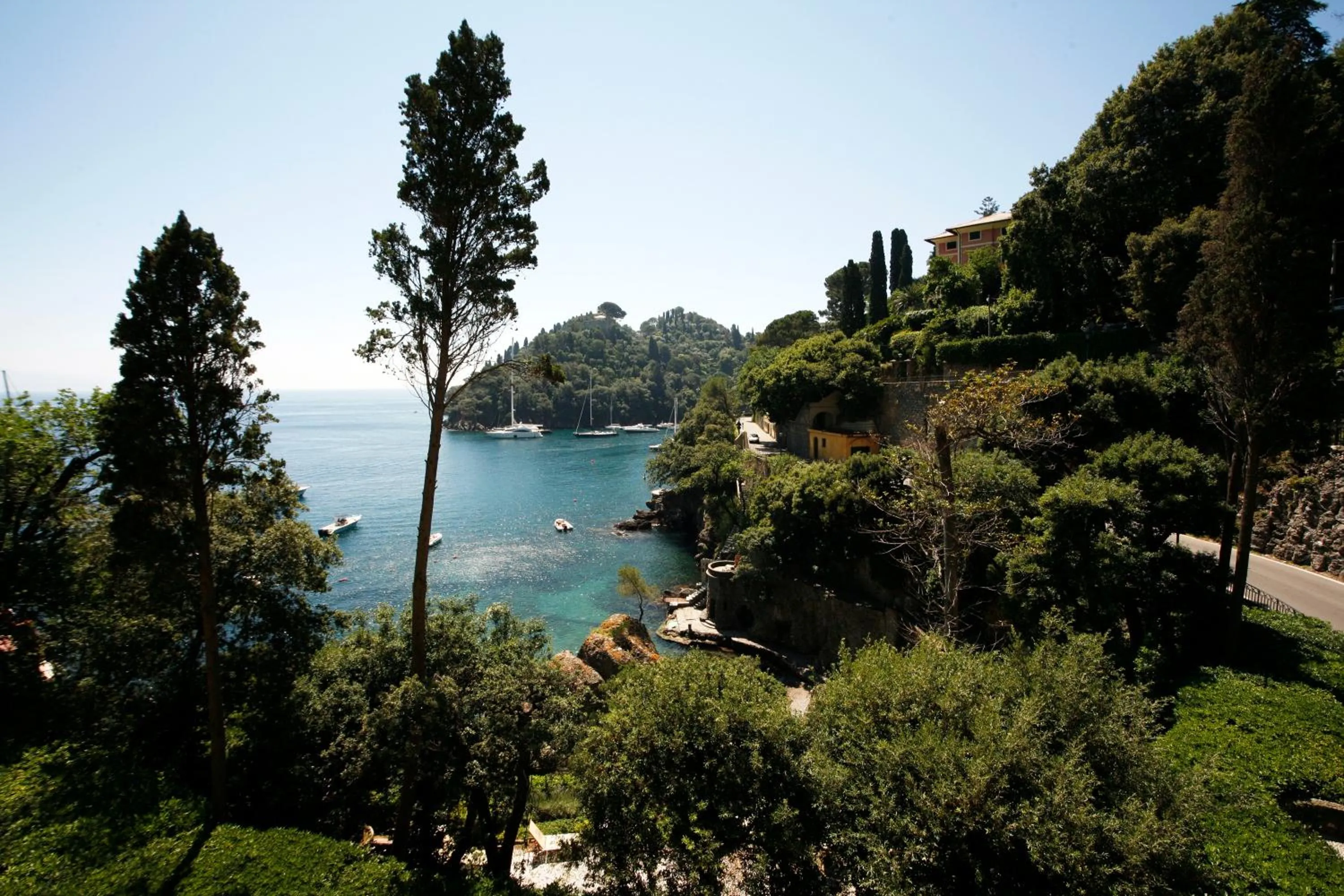 View (from property/room) in Hotel Piccolo Portofino