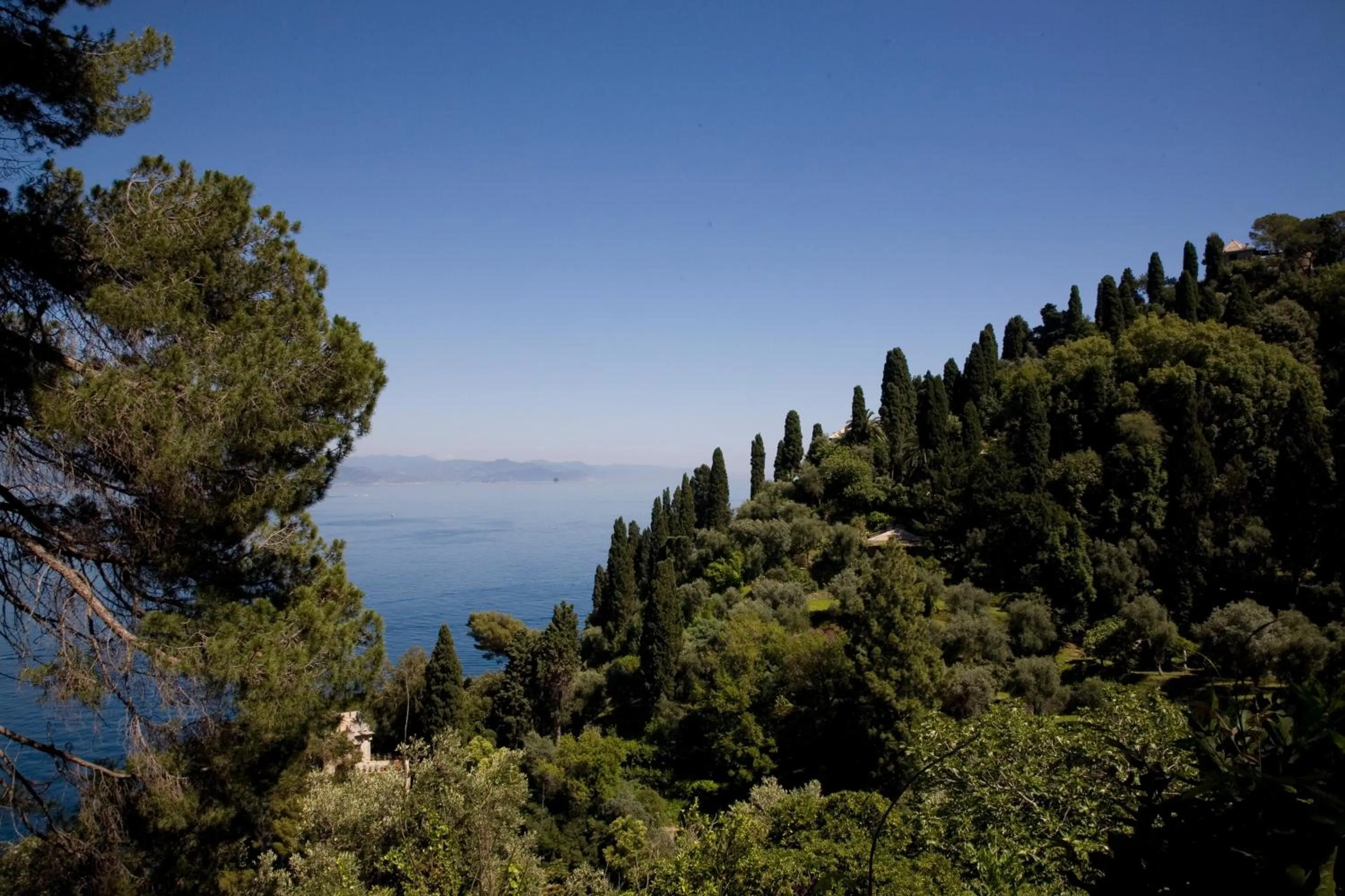 View (from property/room) in Hotel Piccolo Portofino
