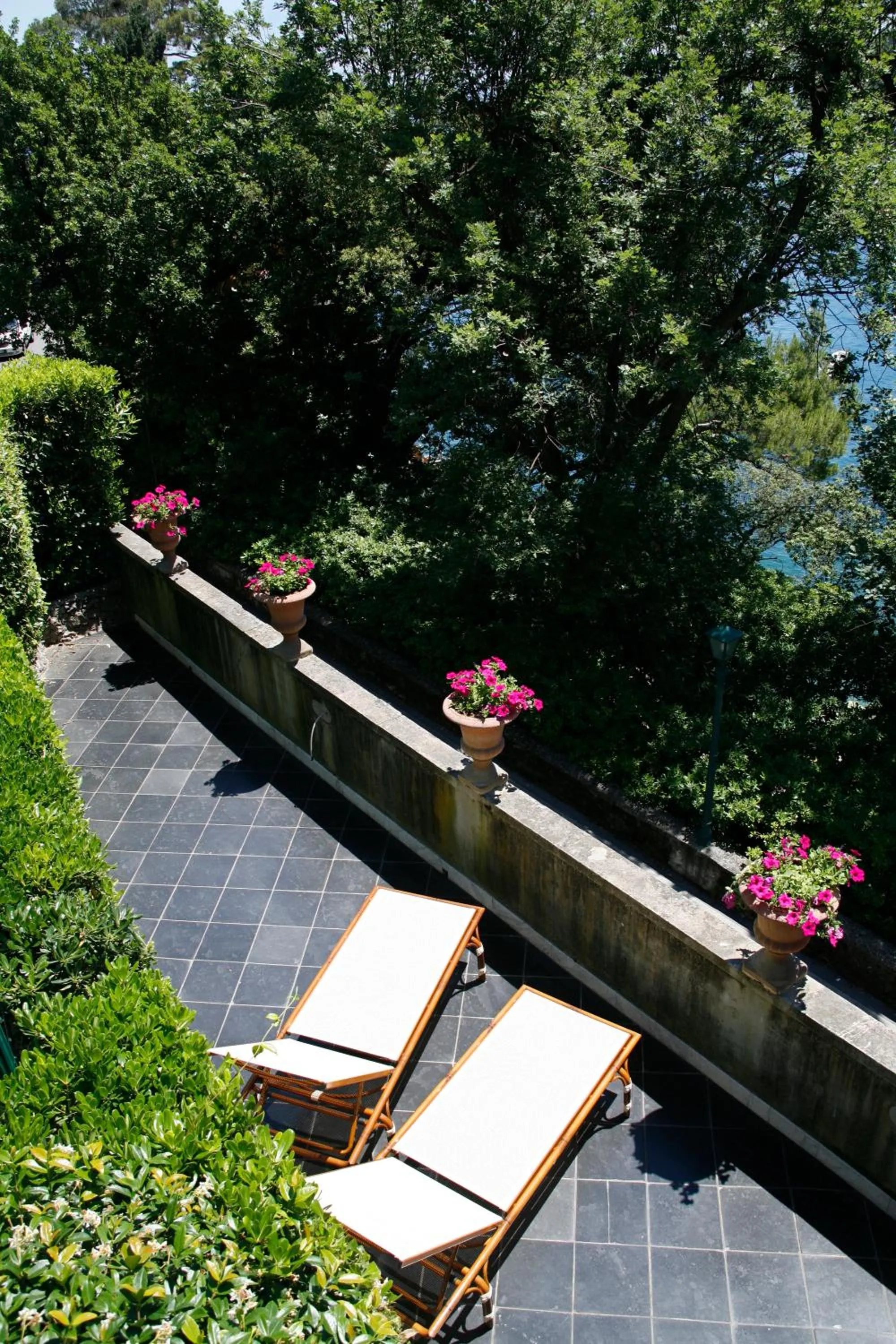 View (from property/room) in Hotel Piccolo Portofino