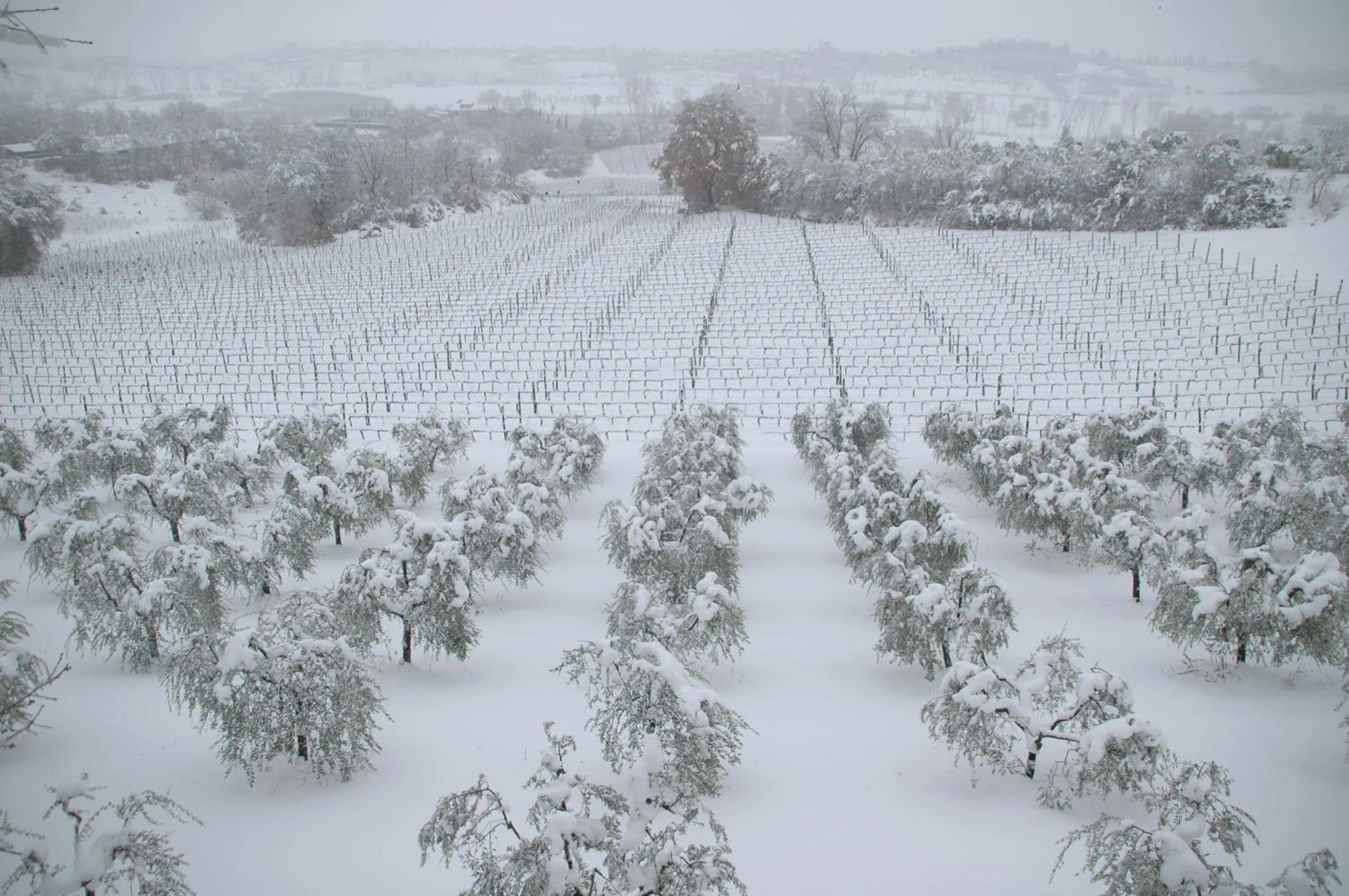 Winter in La Casa Delle Querce